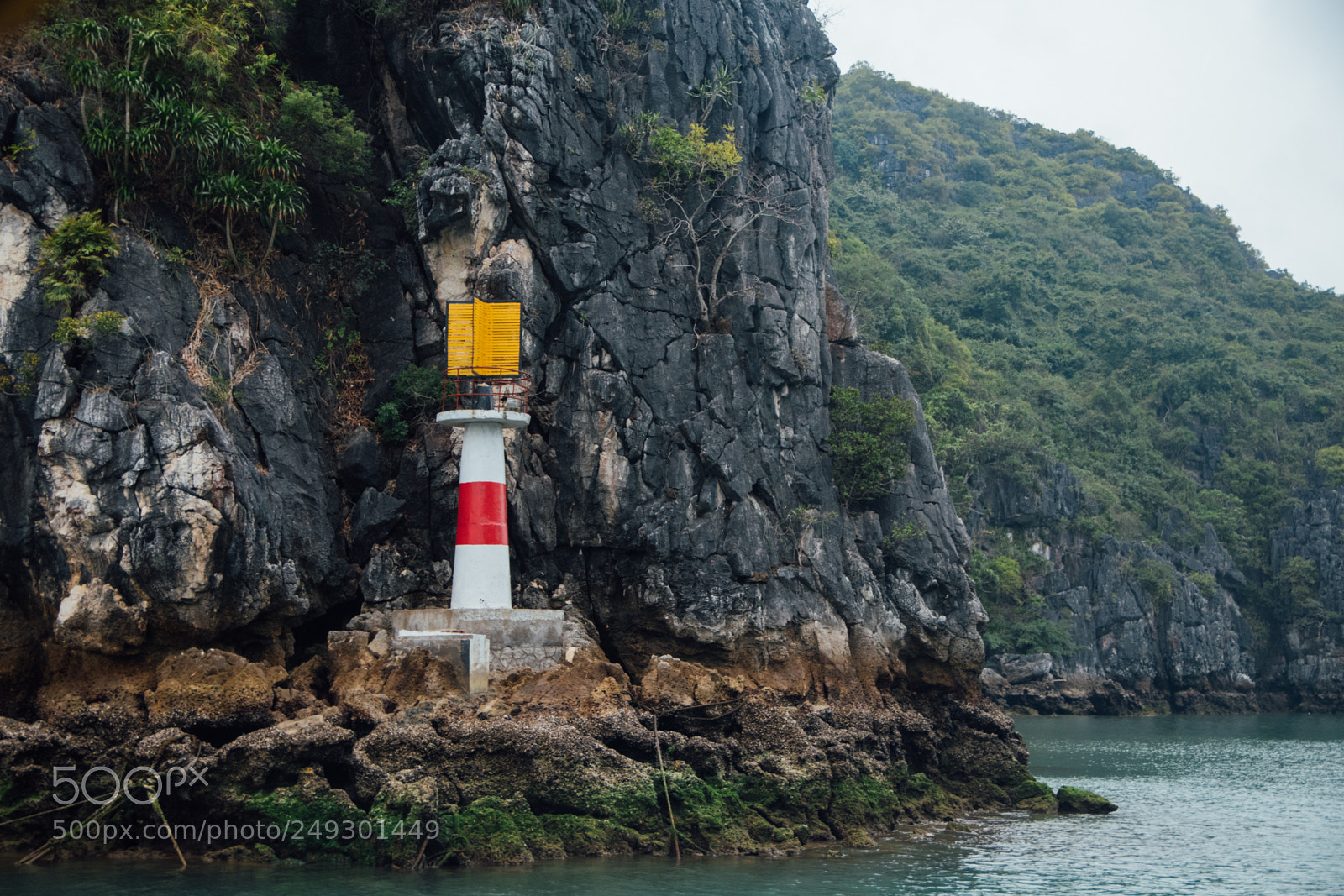Nikon D7500 sample photo. Cat ba island lan photography