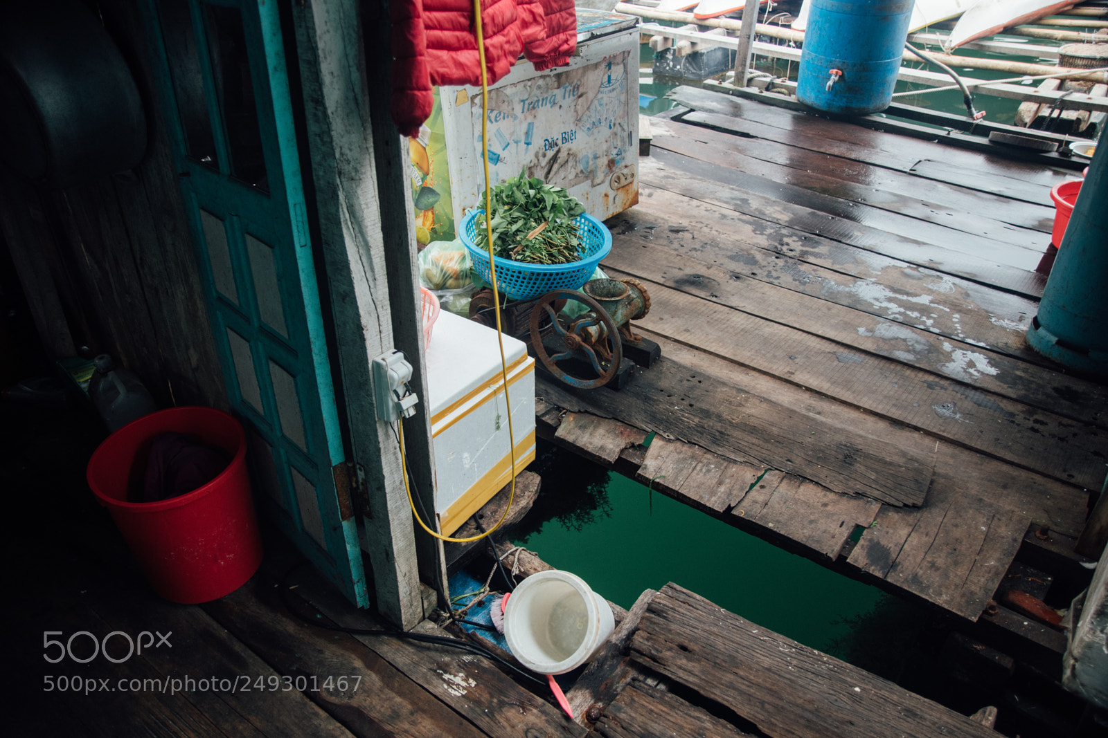 Nikon D7500 sample photo. Cat ba island lan photography