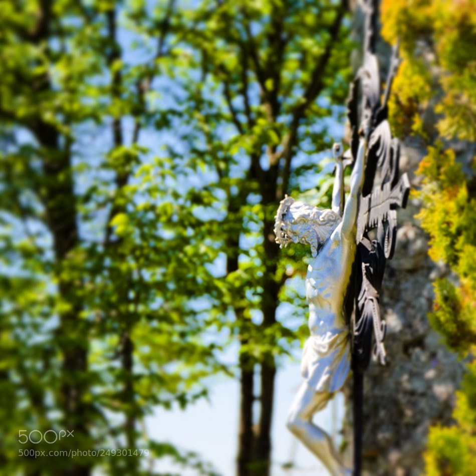 Nikon D7000 sample photo. Untitled photography