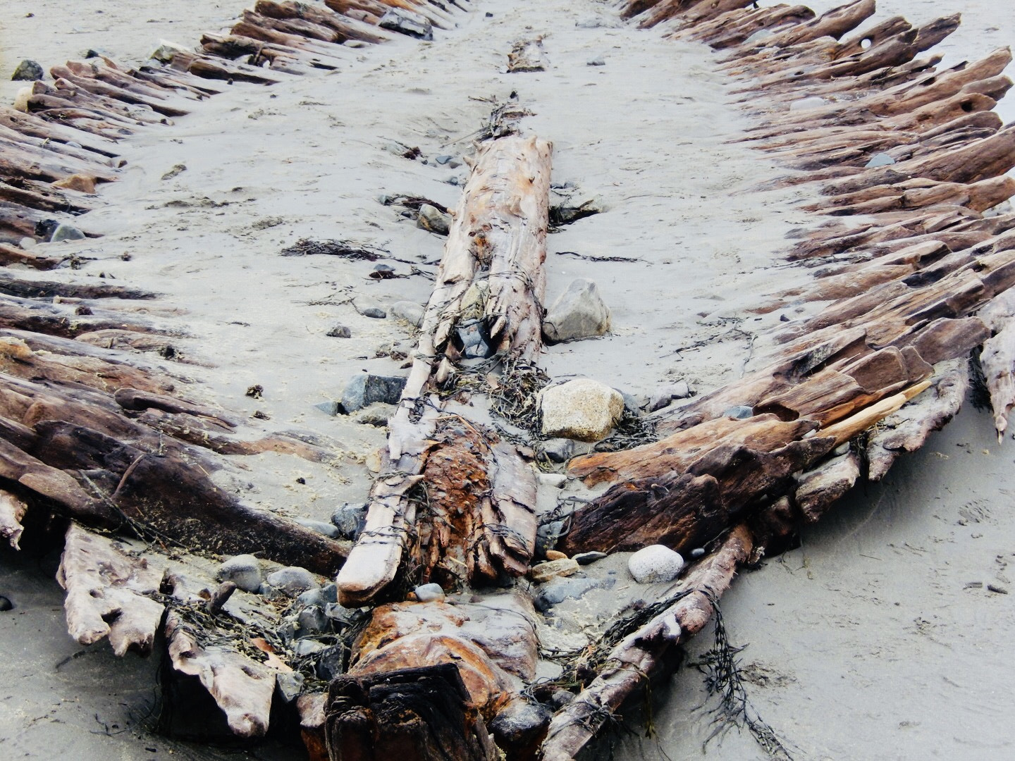 Nikon COOLPIX S9600 sample photo. Beached shipwreck, probably from the 1700s. photography