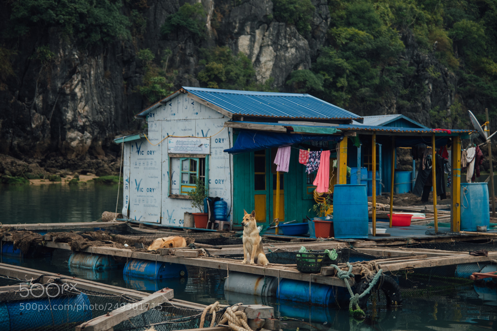Nikon D7500 sample photo. Cat ba island lan photography
