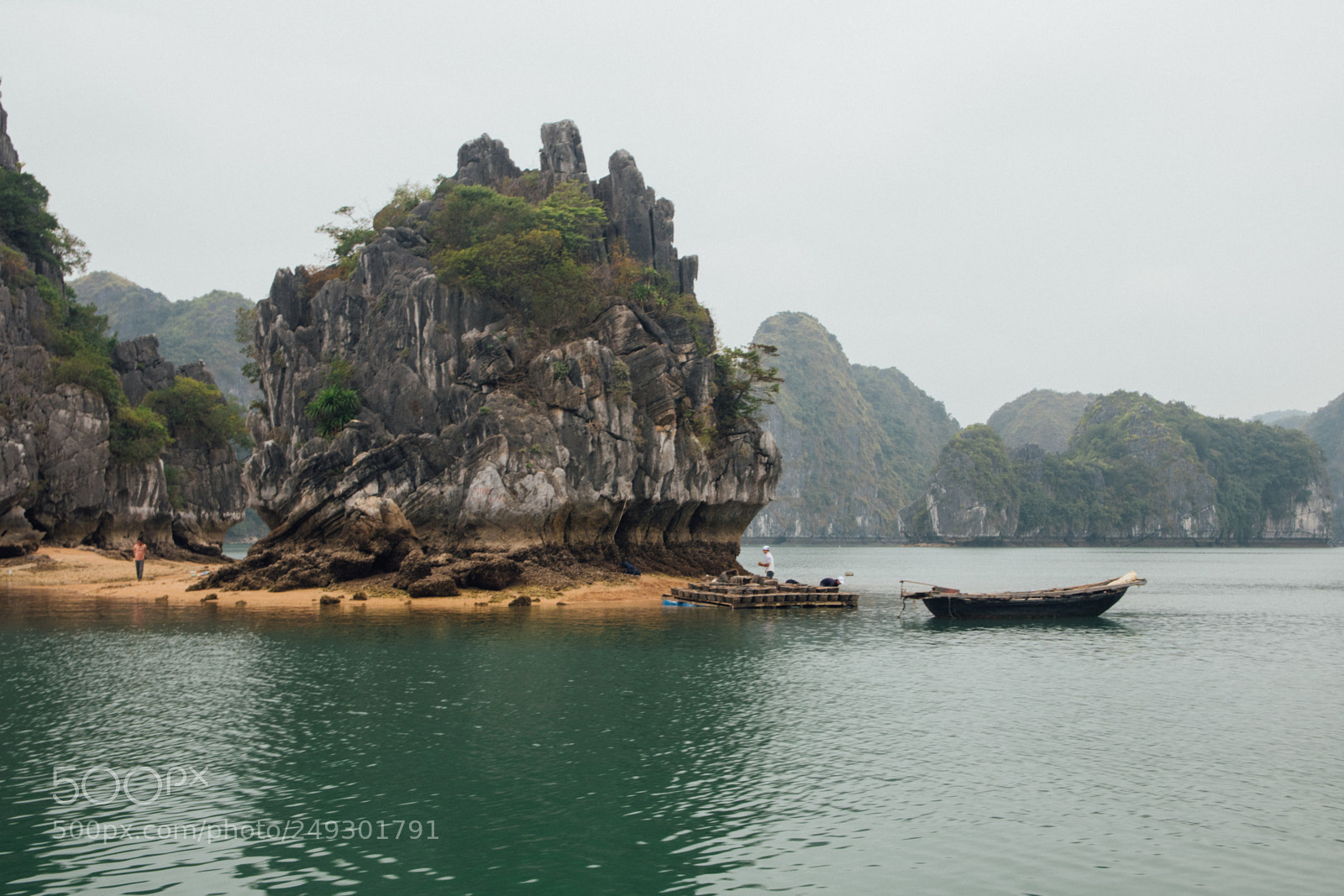 Nikon D7500 sample photo. Cat ba island lan photography