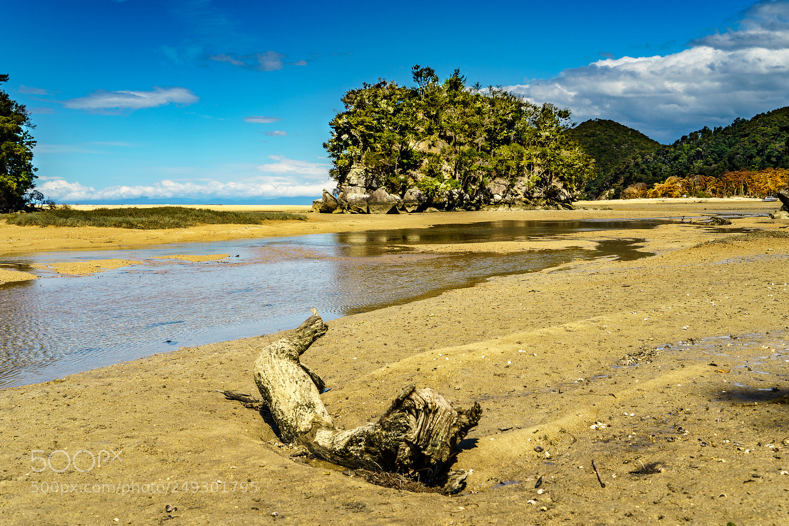 Sony a9 sample photo. Low tide in the photography