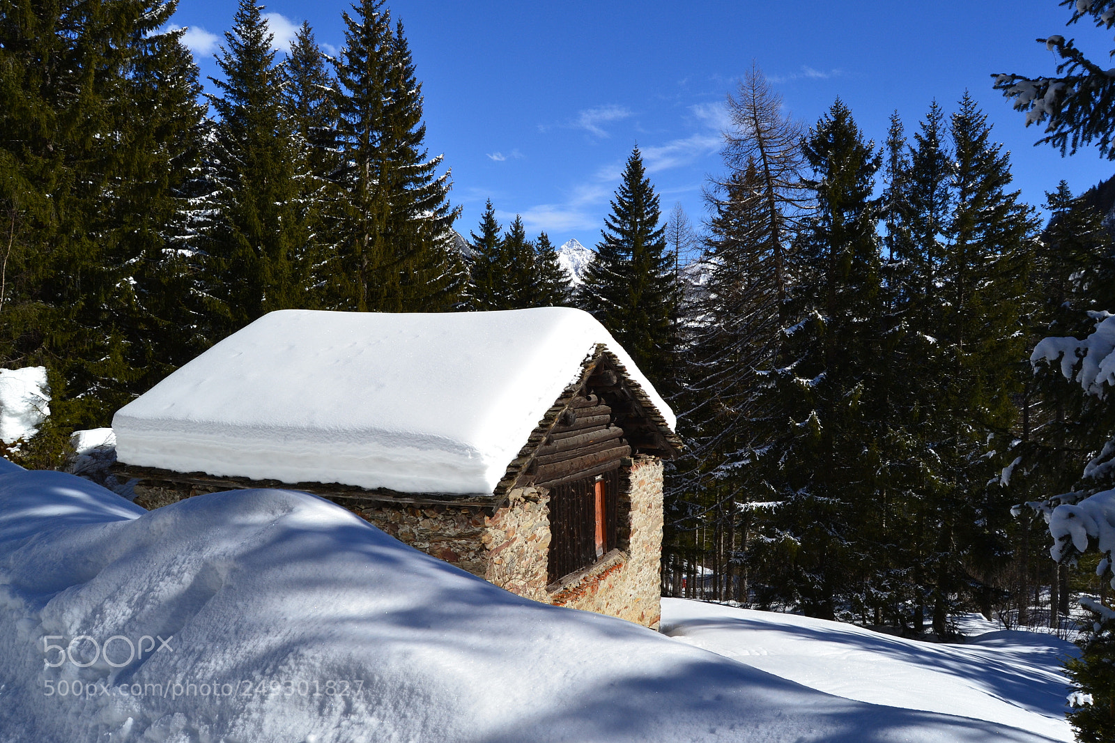 Nikon D3100 sample photo. La casa nel bosco photography