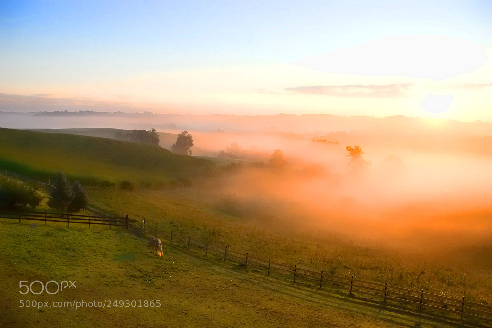 Nikon D80 sample photo. In country photography