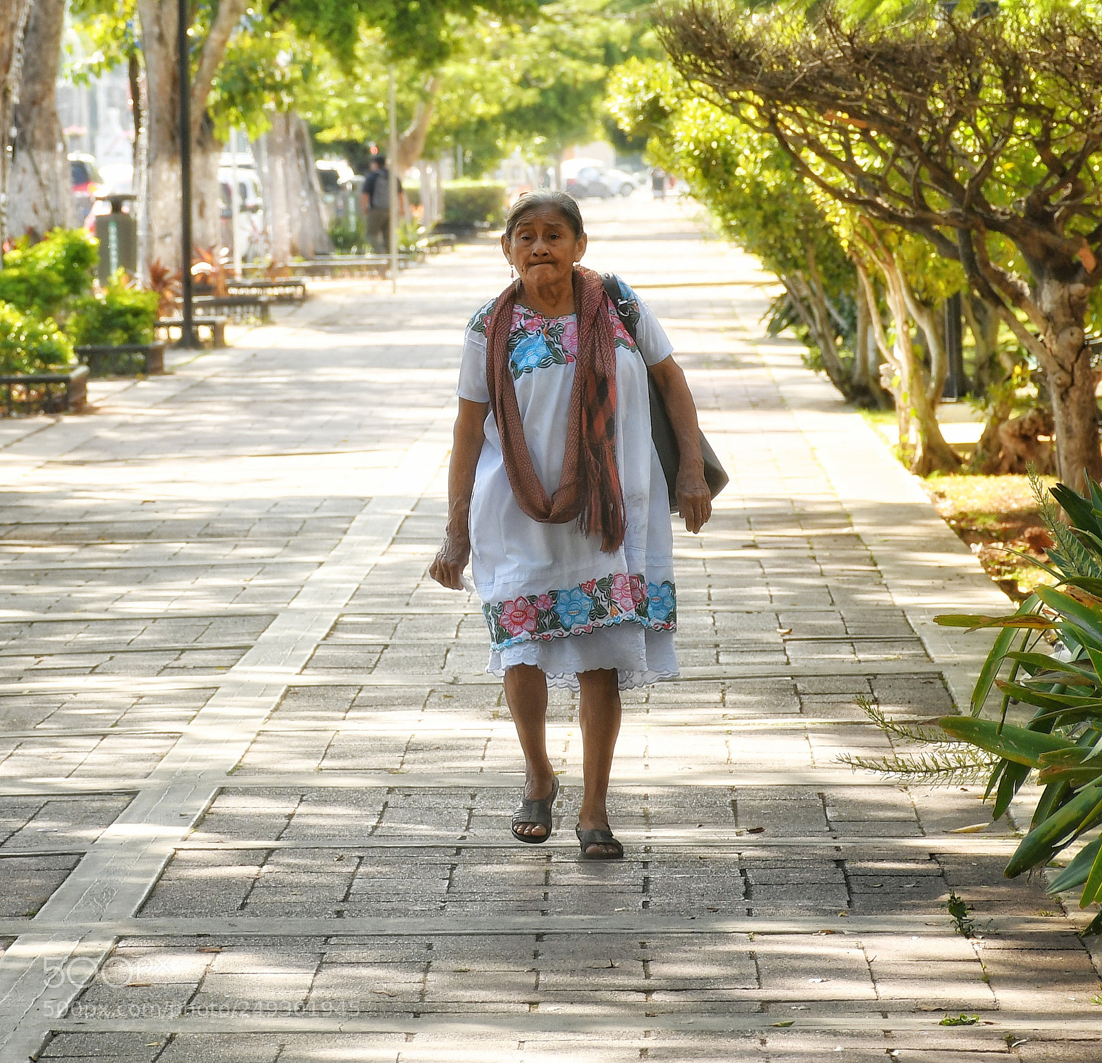 Nikon D7500 sample photo. Caminando con rumbo photography