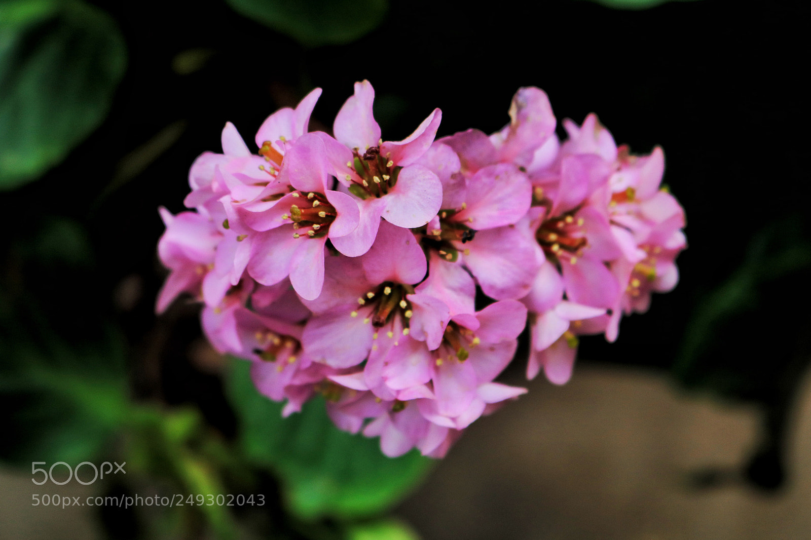 Canon EOS 750D (EOS Rebel T6i / EOS Kiss X8i) sample photo. Untitled photography