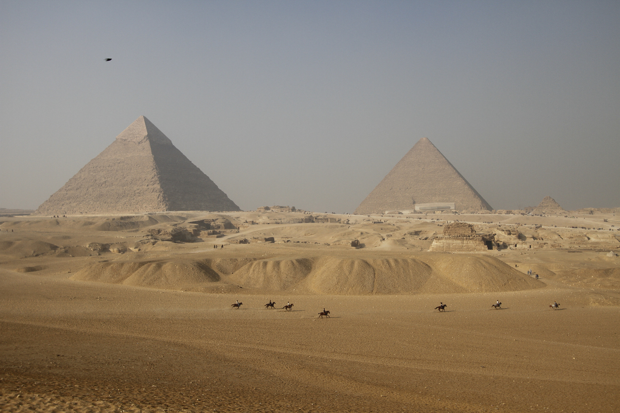 Canon EF-S 10-22mm F3.5-4.5 USM sample photo. Pyramids and horses photography
