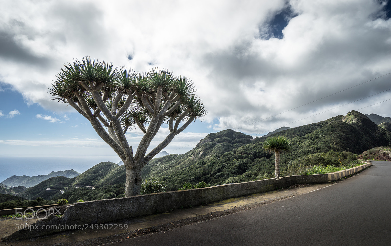 Sony a7R sample photo. Anaga mountains tenerife, spain photography