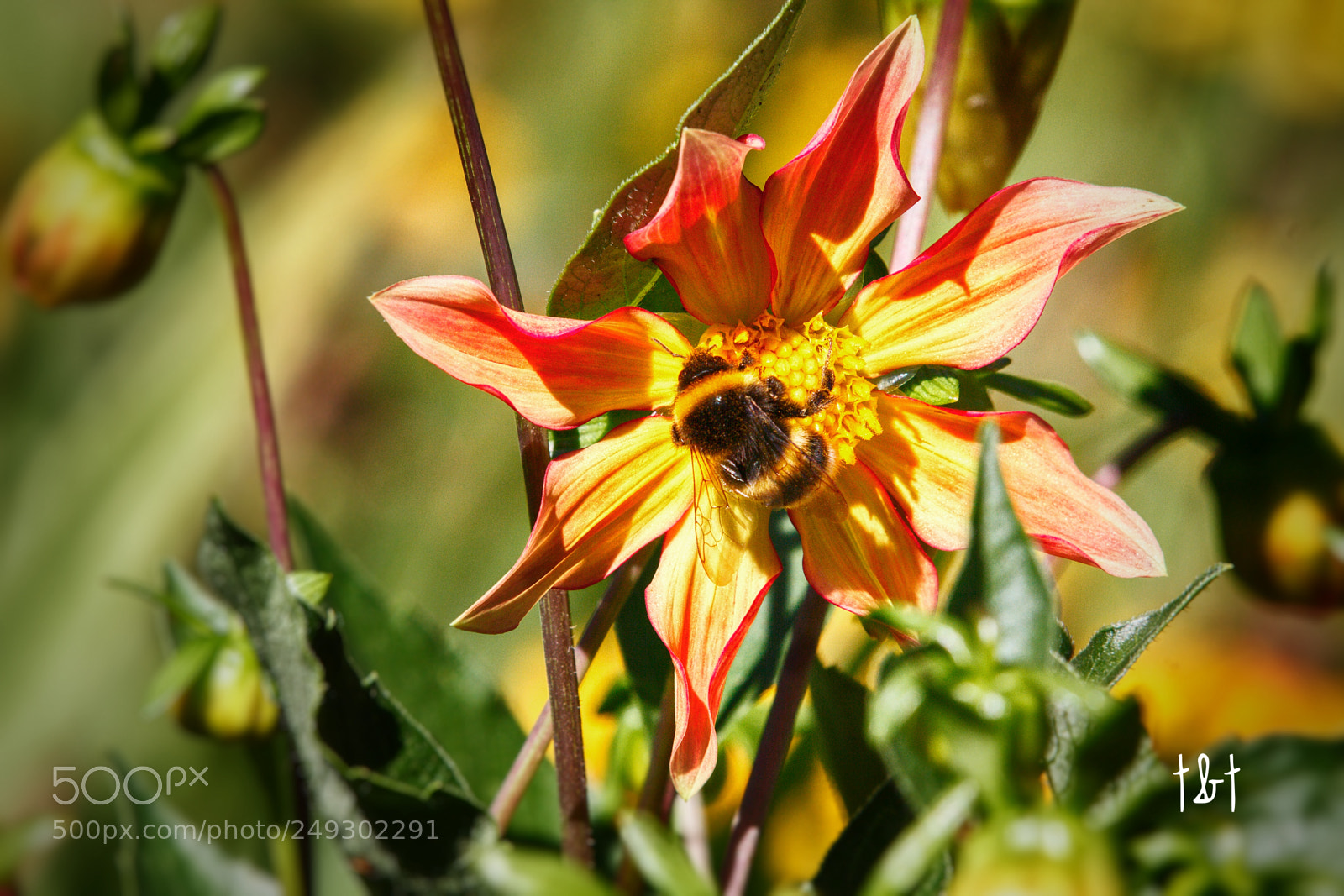 Canon EOS 7D sample photo. Untitled photography