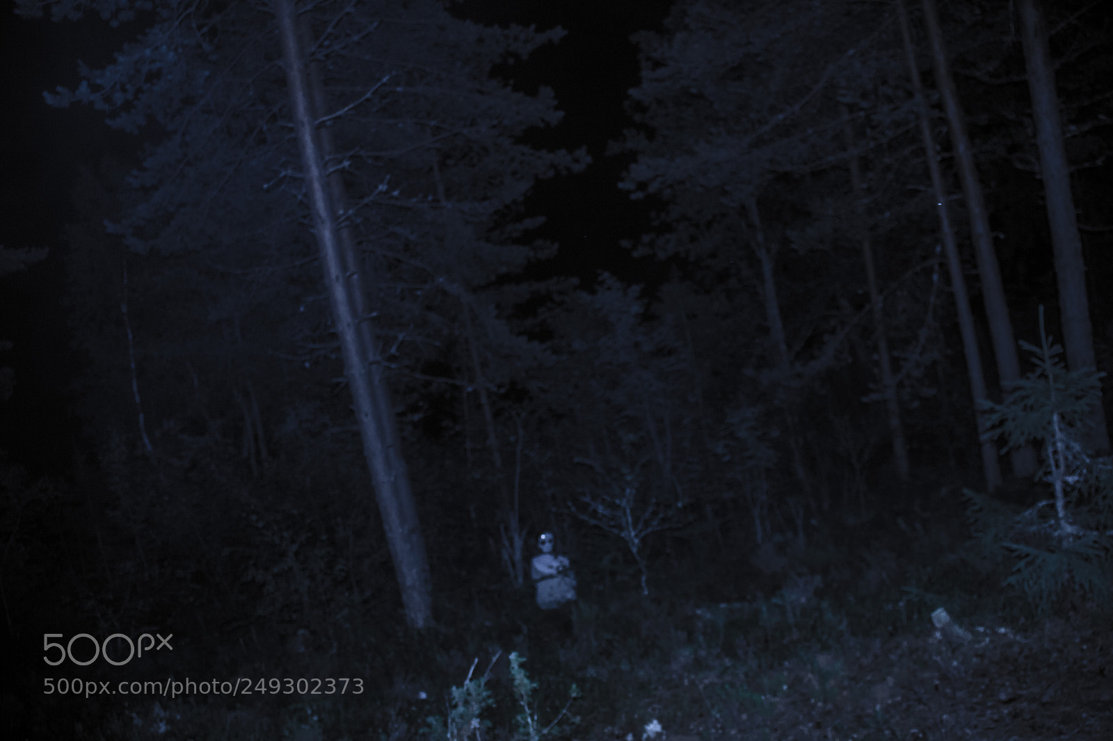Canon EOS 600D (Rebel EOS T3i / EOS Kiss X5) sample photo. Ghost photography