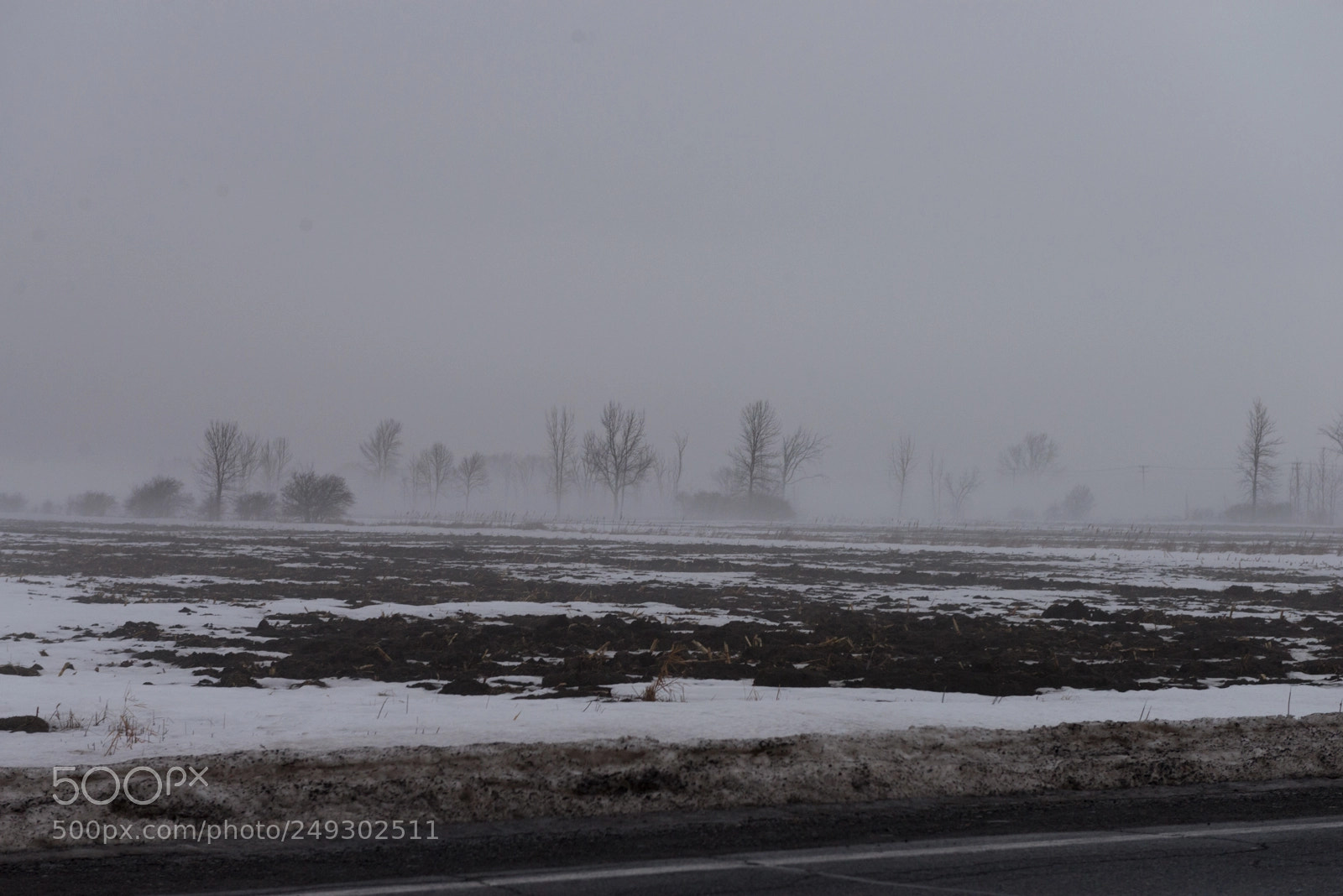 Nikon D610 sample photo. Varennes route paysage brume photography