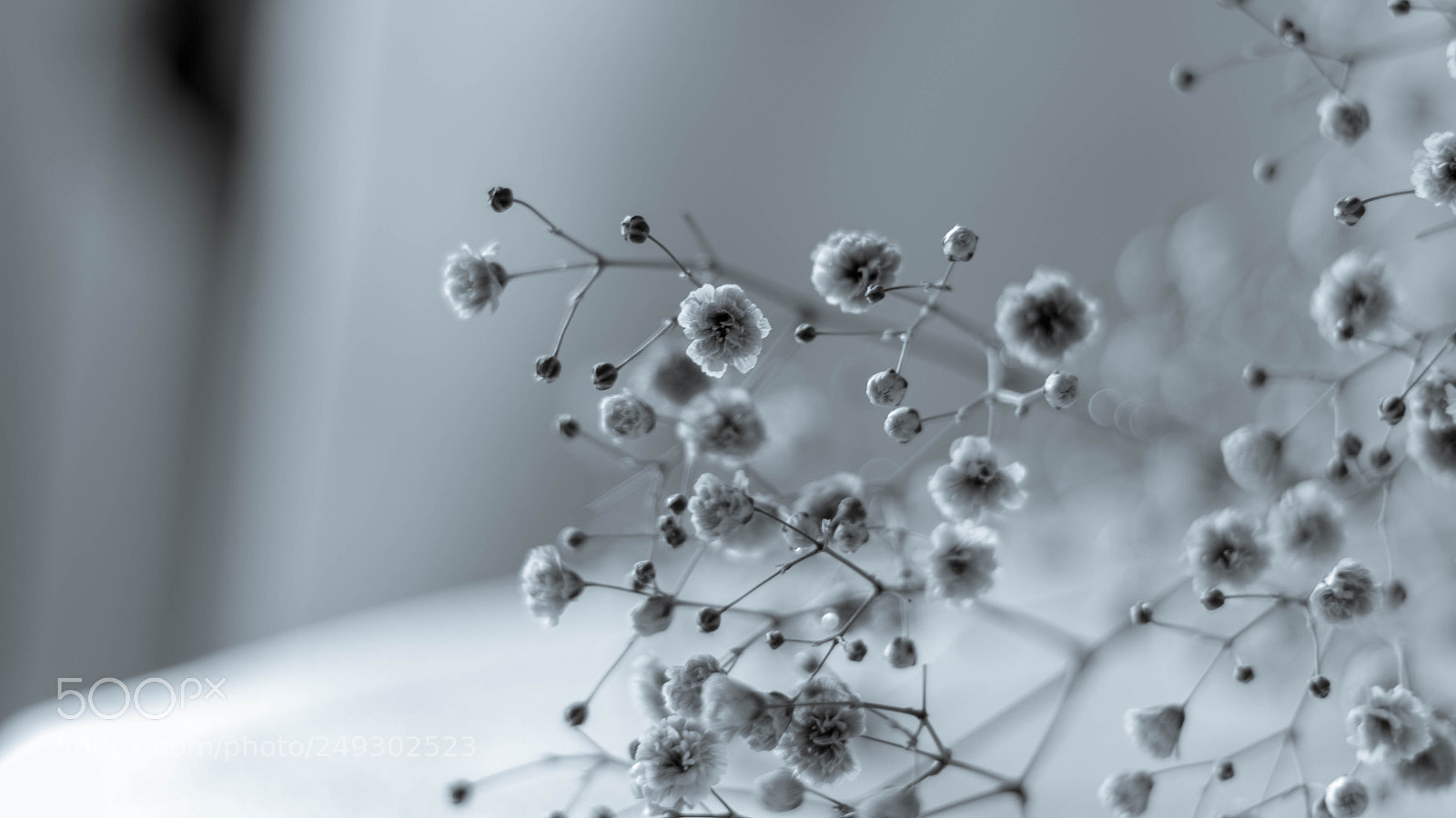 Canon EOS 600D (Rebel EOS T3i / EOS Kiss X5) sample photo. Tranquility photography