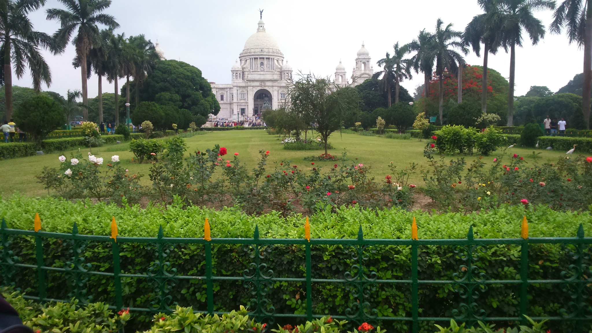 Sony Xperia M2 sample photo