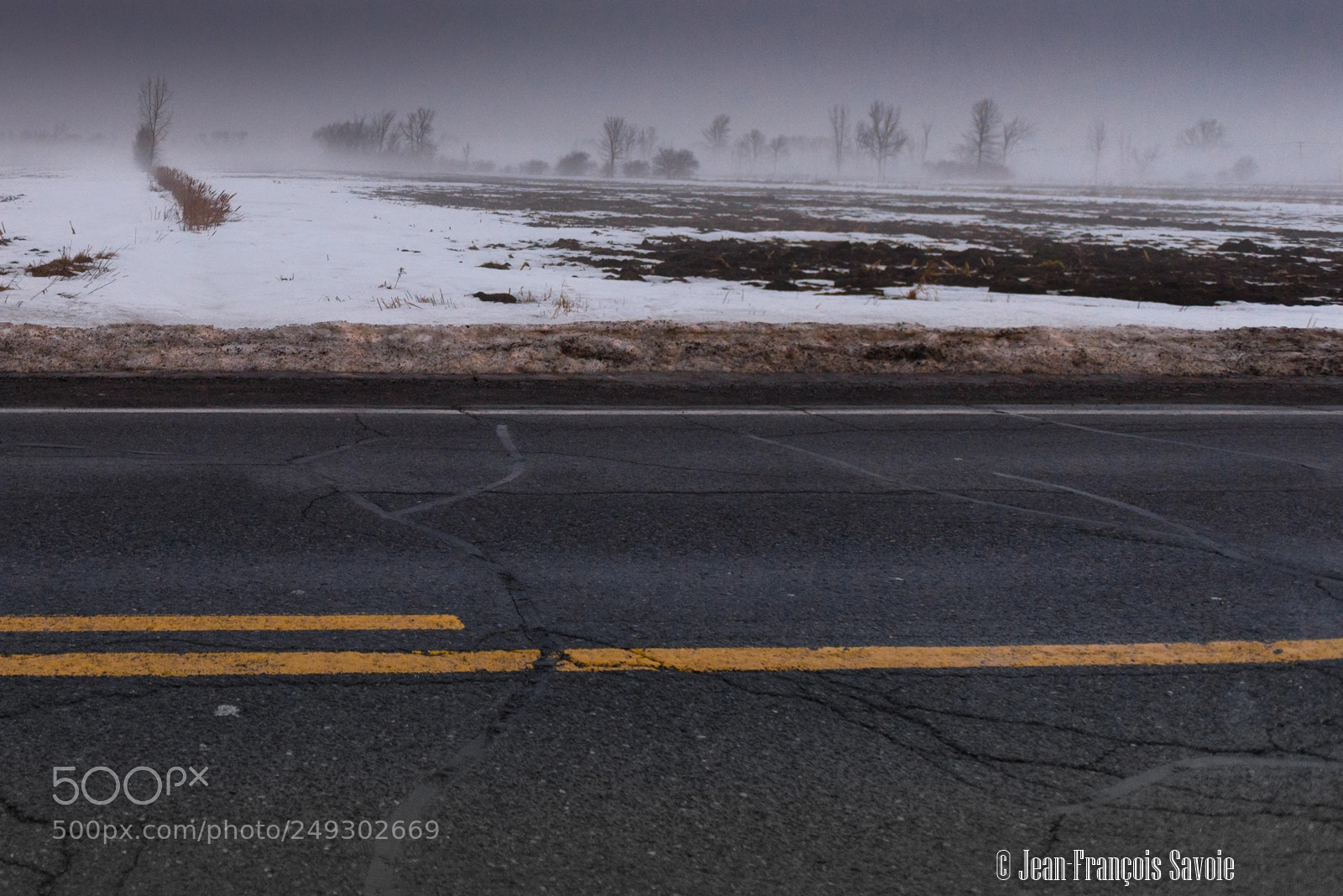 Nikon D610 sample photo. Varennes route paysage brume photography