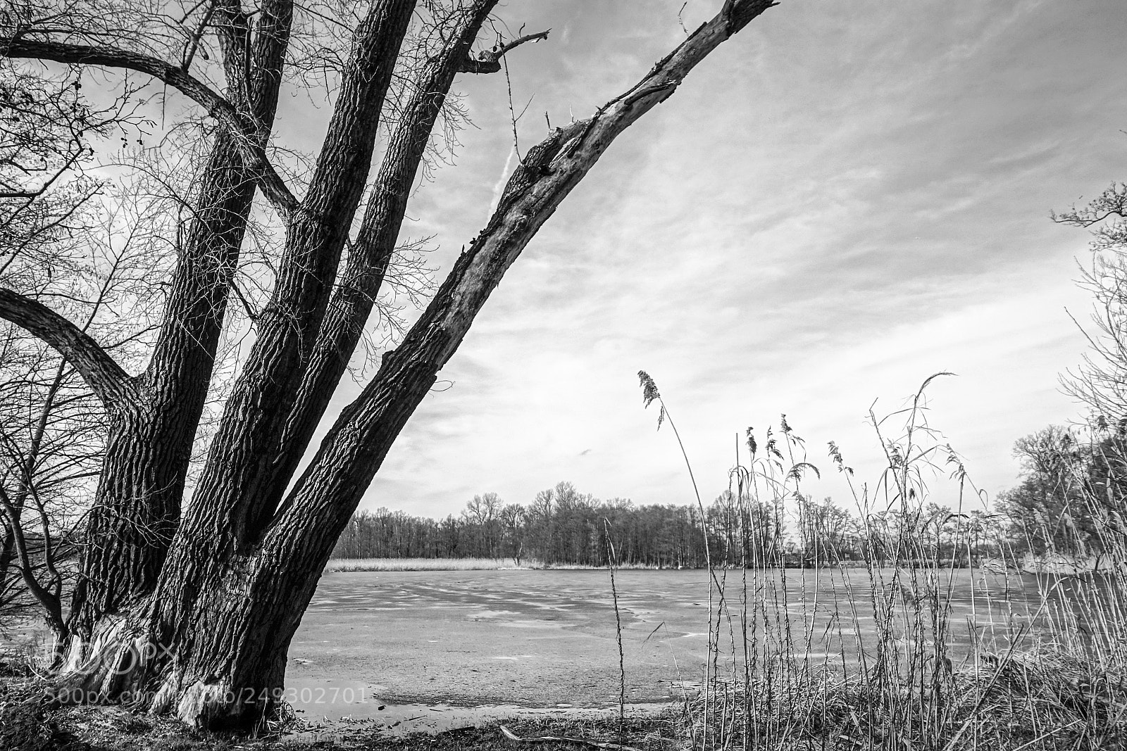 Sony Cyber-shot DSC-RX100 III sample photo. Lake in winter photography