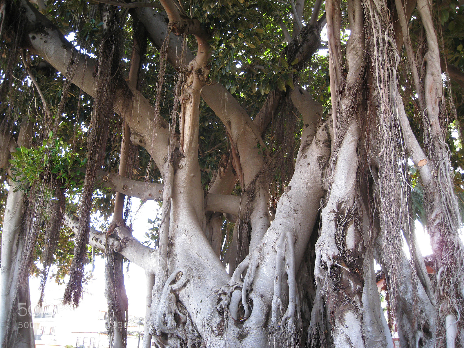 Canon DIGITAL IXUS 960 IS sample photo. Img photography