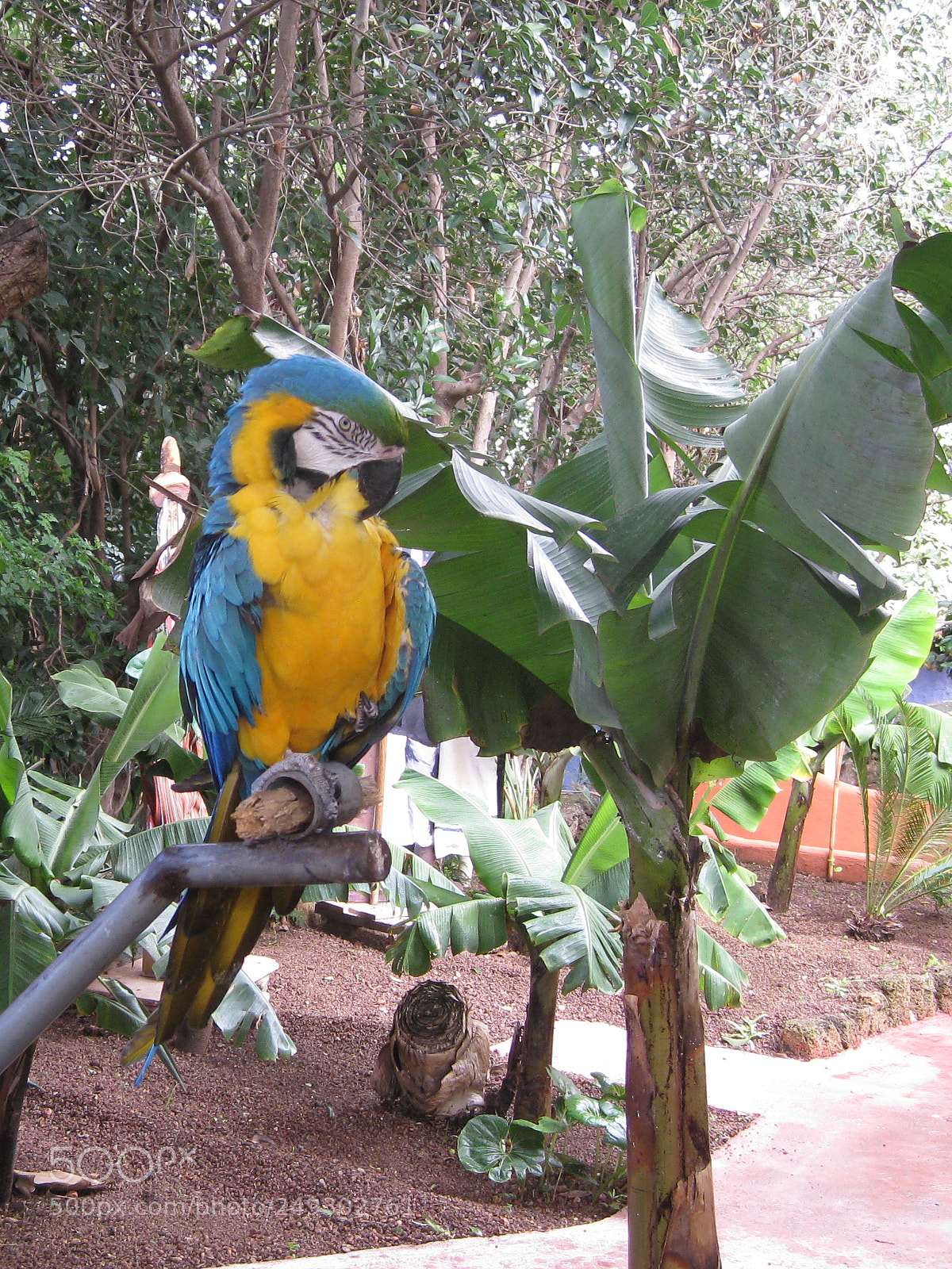 Canon DIGITAL IXUS 960 IS sample photo. Img photography