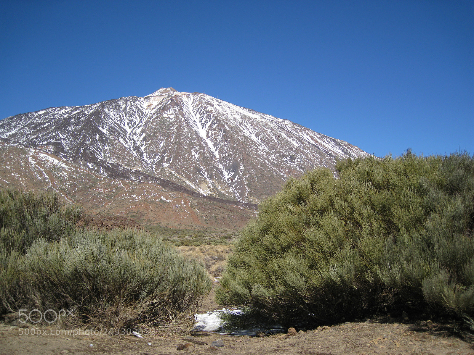 Canon DIGITAL IXUS 960 IS sample photo. Img photography