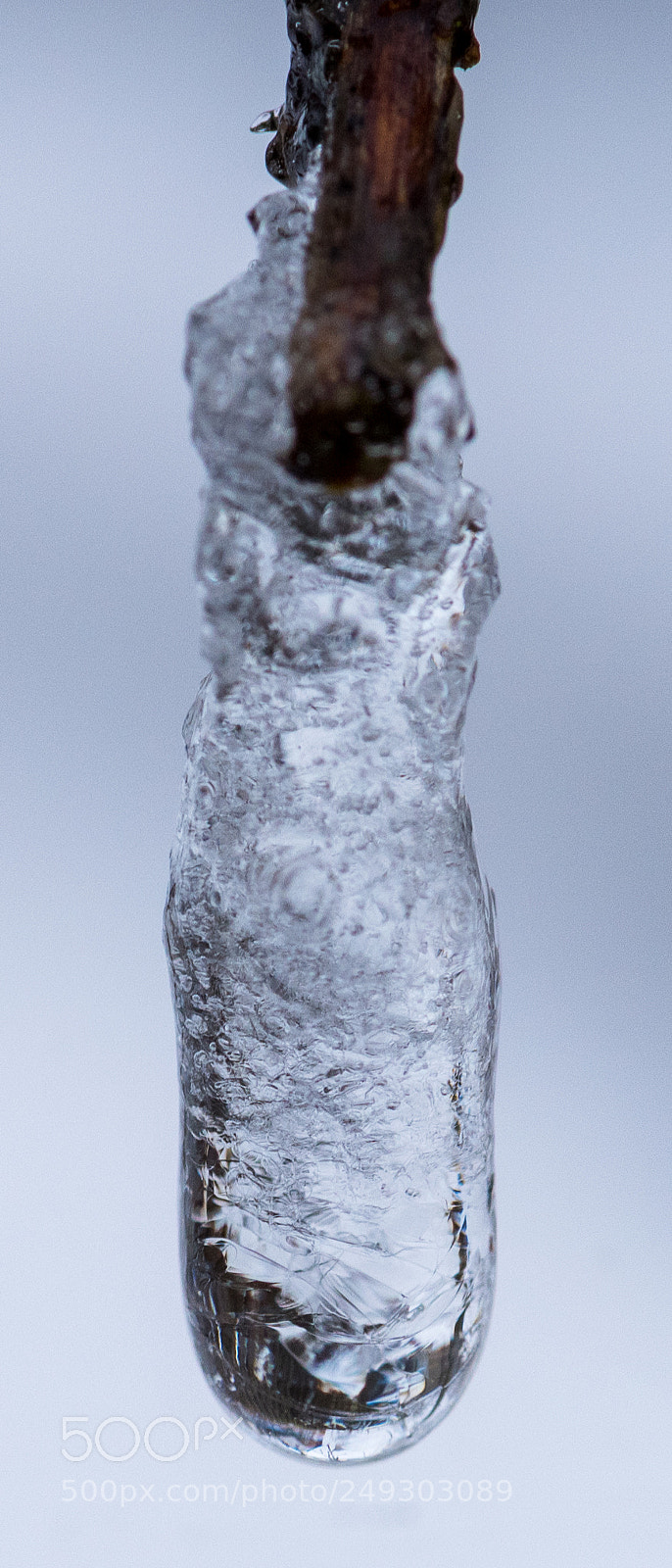 Nikon D810 sample photo. Frozen photography