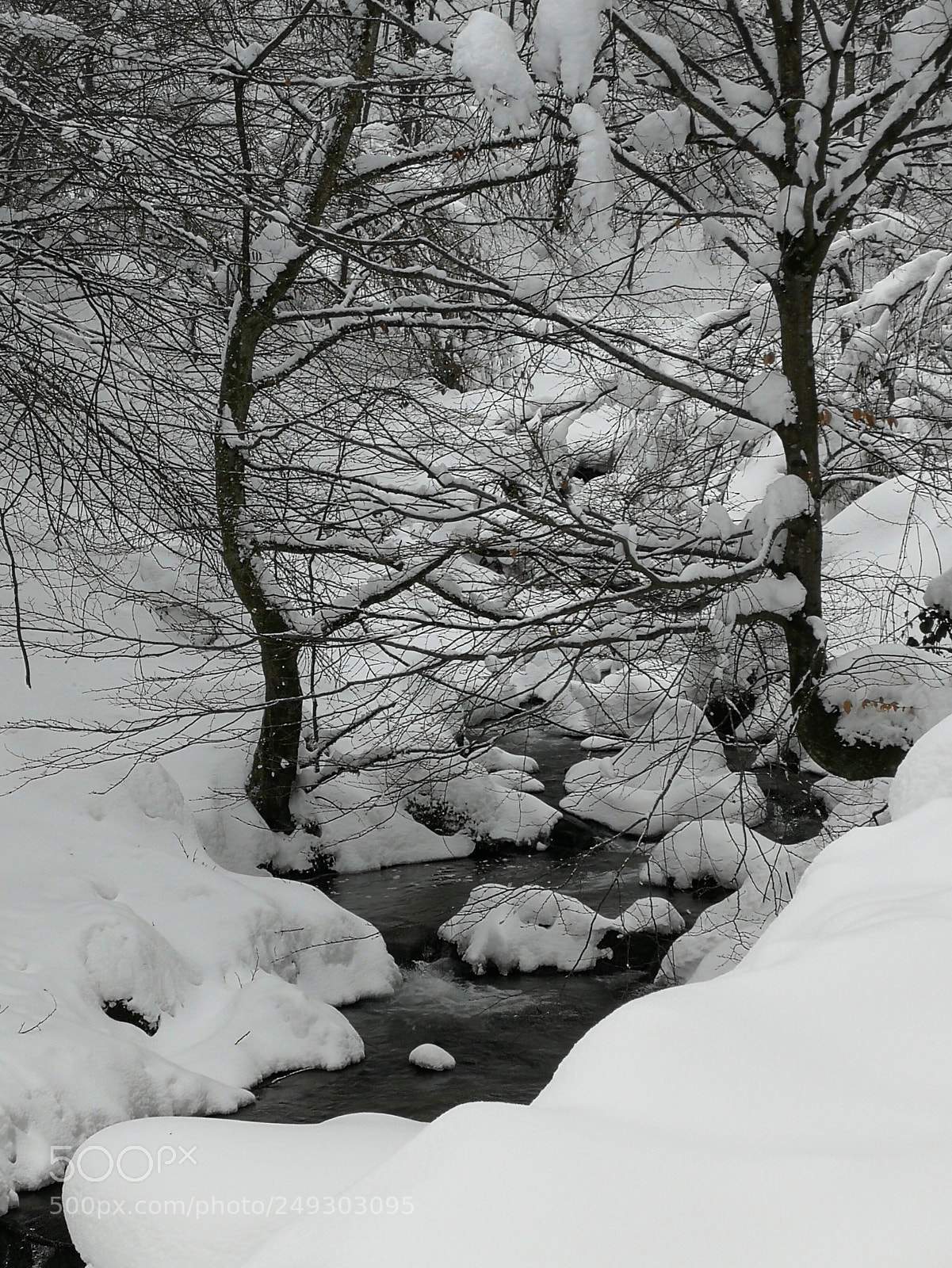 HUAWEI P10 sample photo. Snowy photography