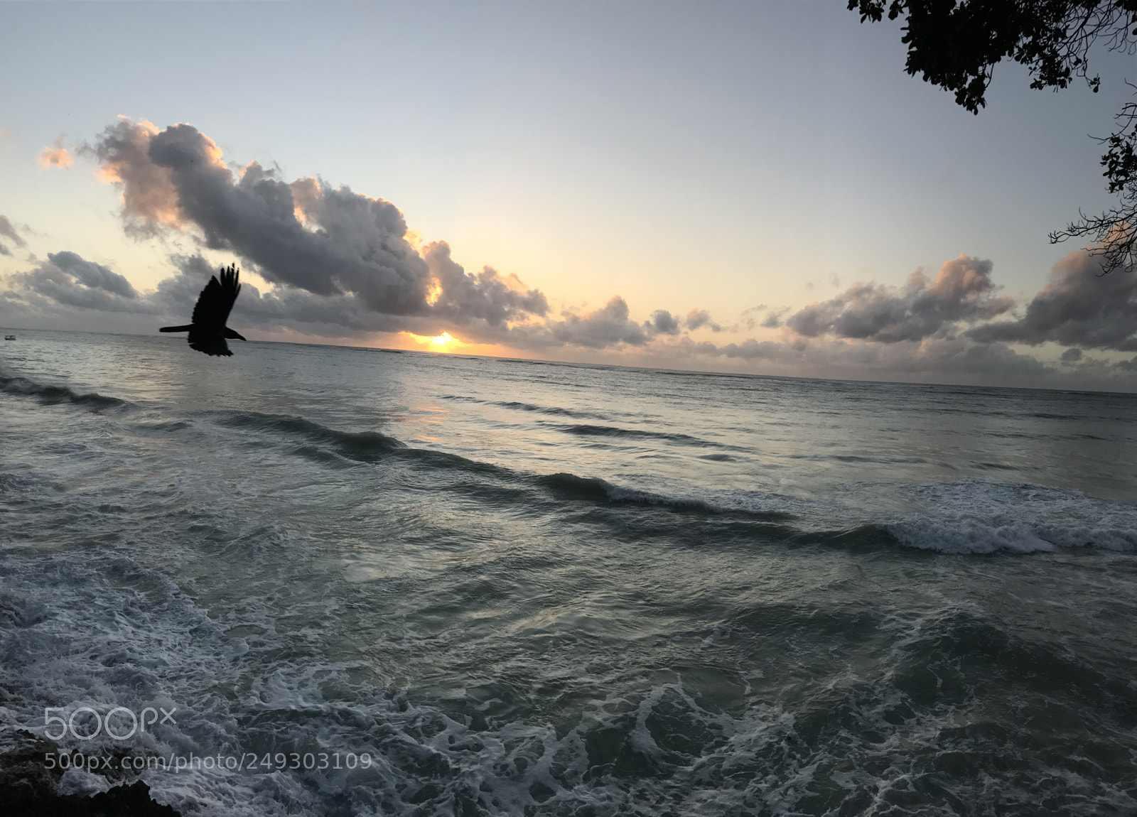 Apple iPhone 7 sample photo. Flying over deep waters. photography