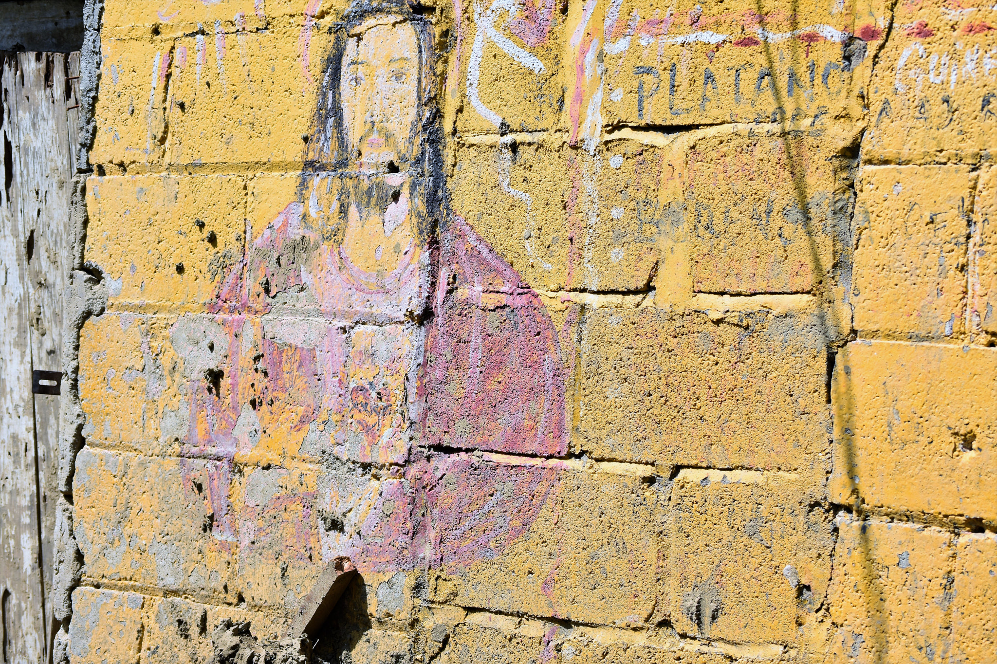 Nikon D3400 sample photo. In search photography