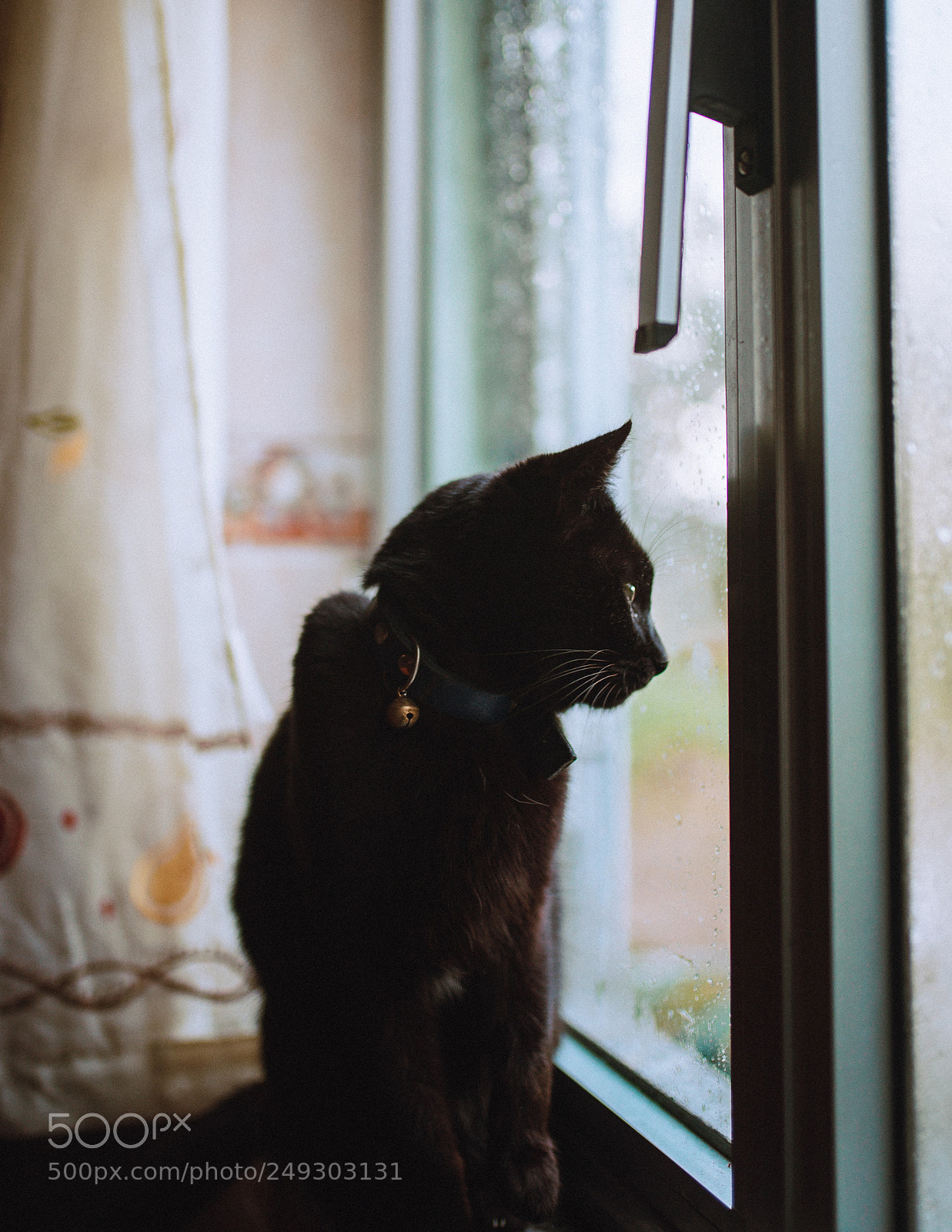 Nikon D610 sample photo. Untitled photography