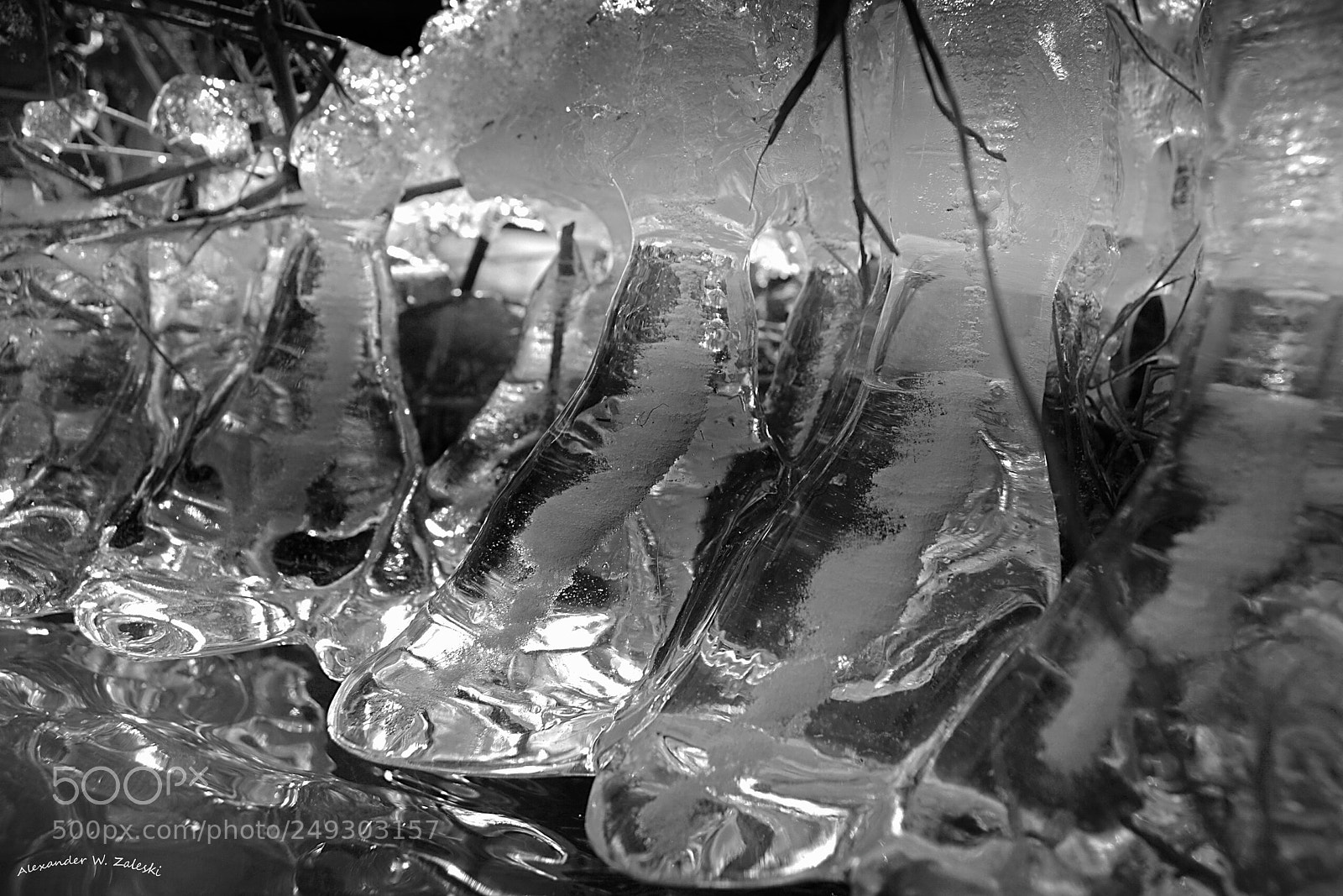 Nikon D3200 sample photo. Frozen in time photography