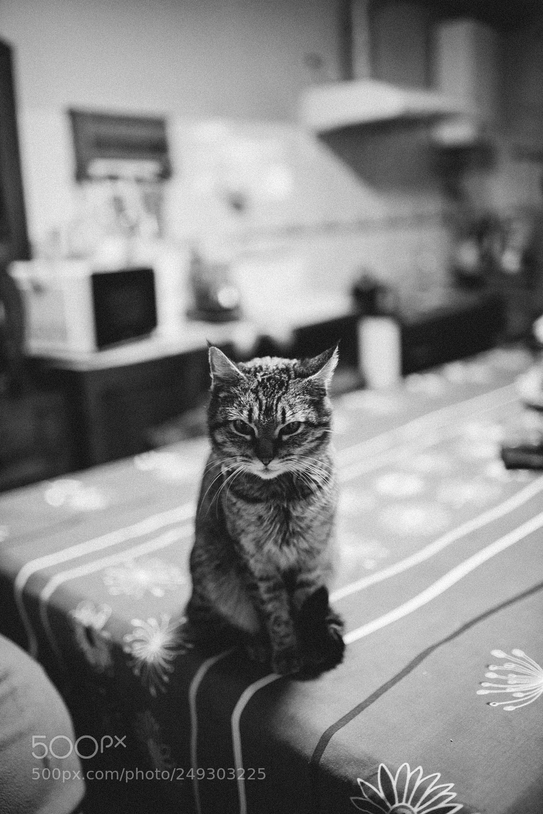 Nikon D610 sample photo. Untitled photography