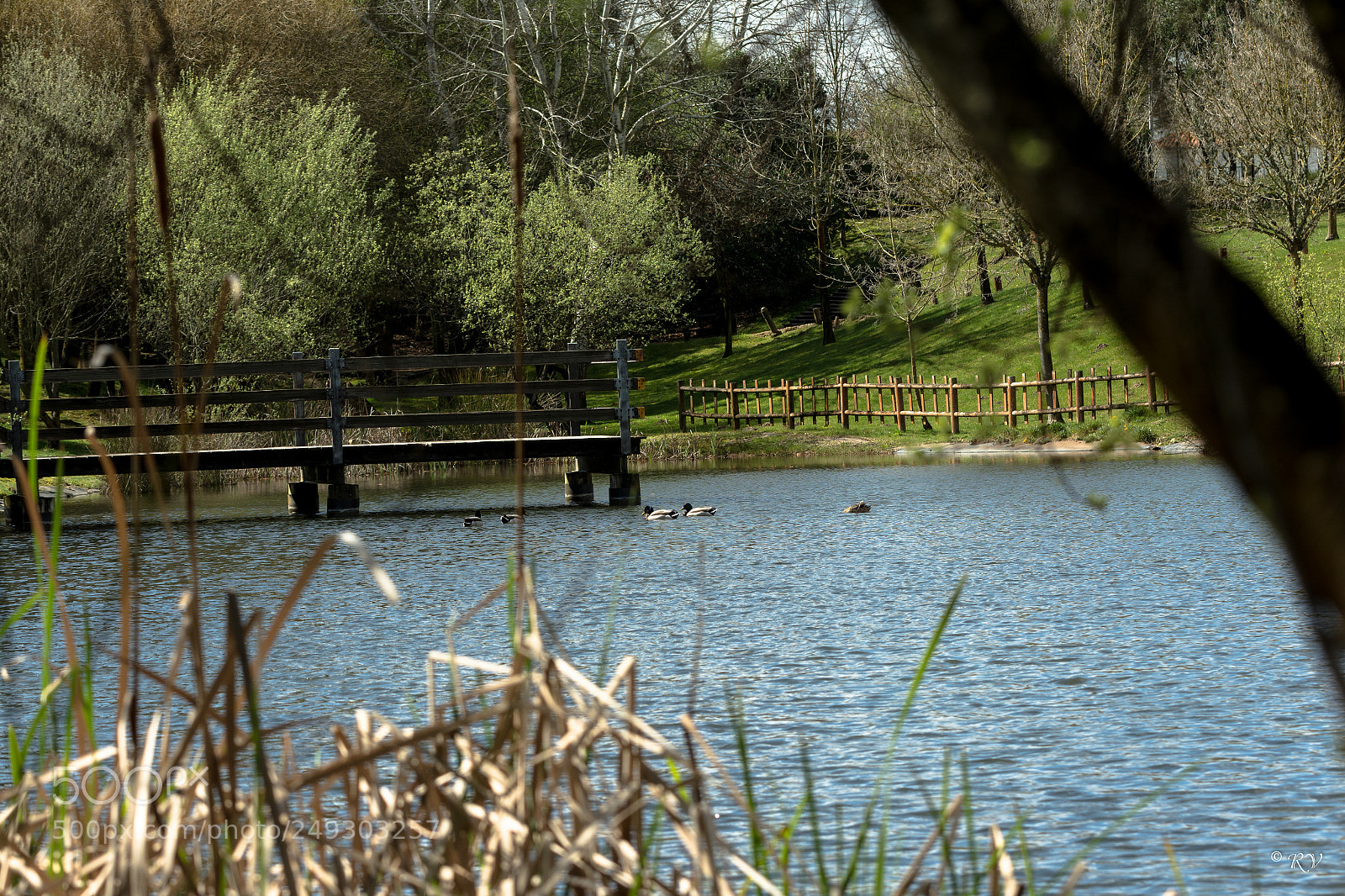 Nikon D7100 sample photo. Panorama photography
