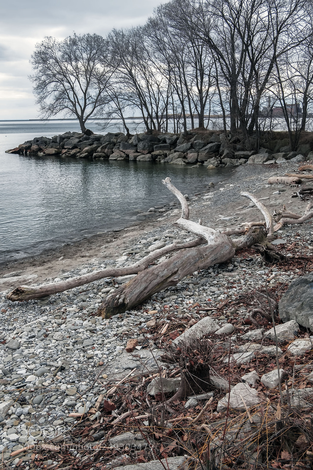 Fujifilm X-E2 sample photo. Lakeview park photography