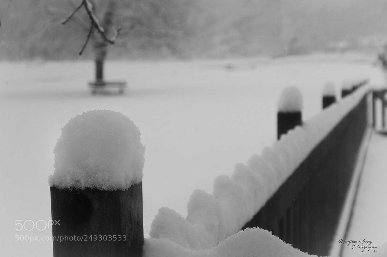 Nikon D300 sample photo. Fence photography