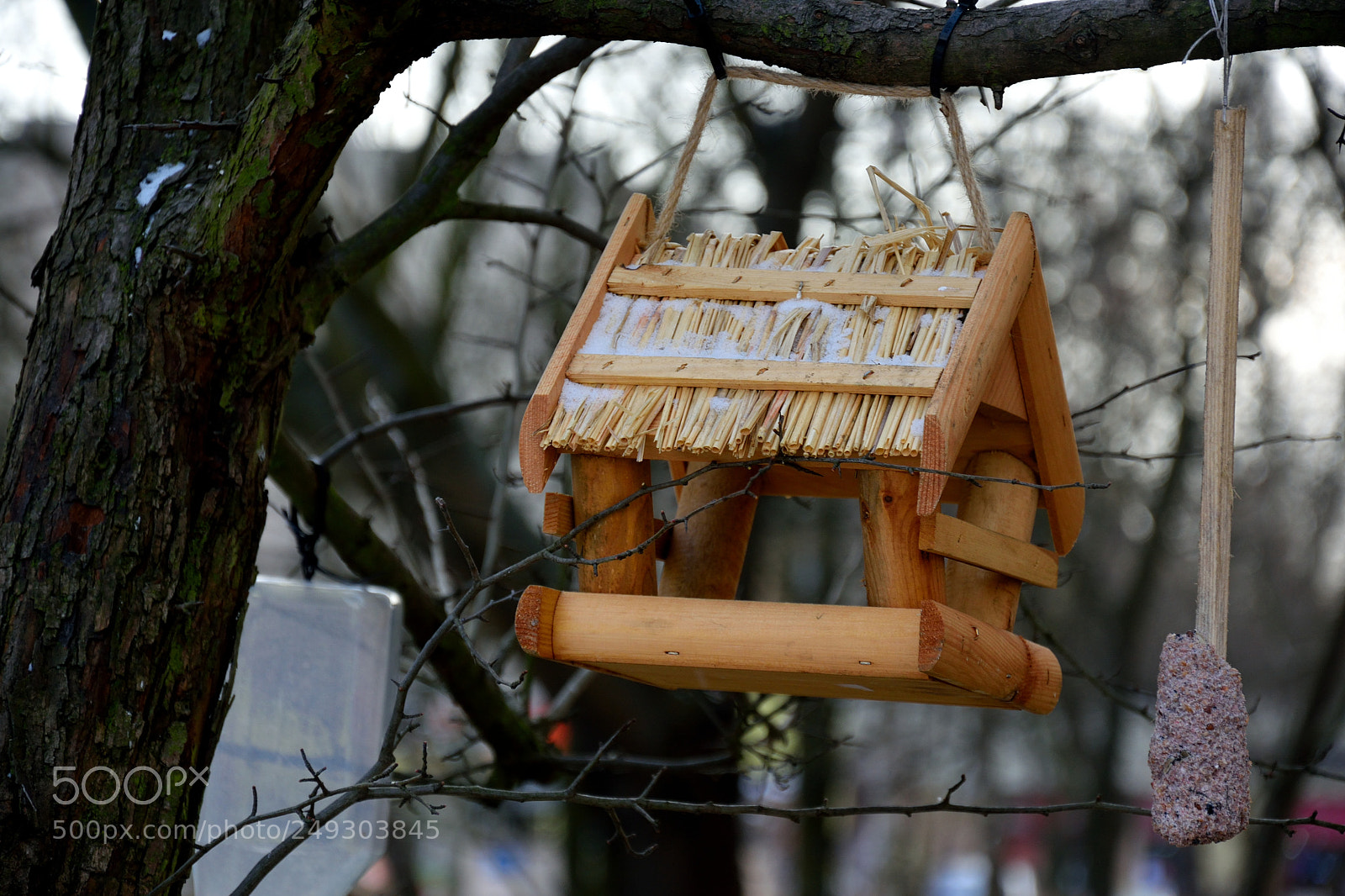Nikon D3300 sample photo. Birds house photography