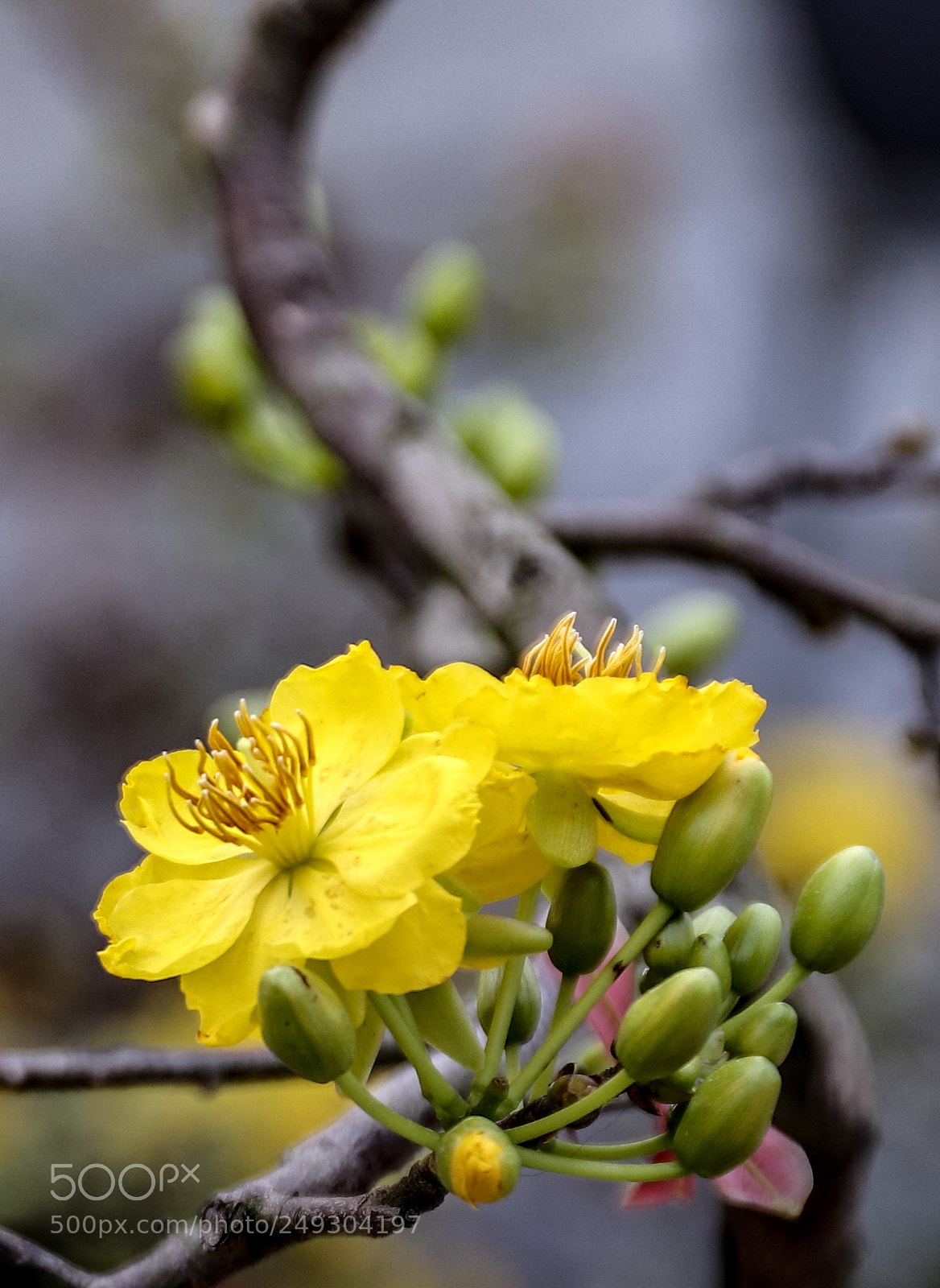 Canon EOS M5 sample photo. Untitled photography