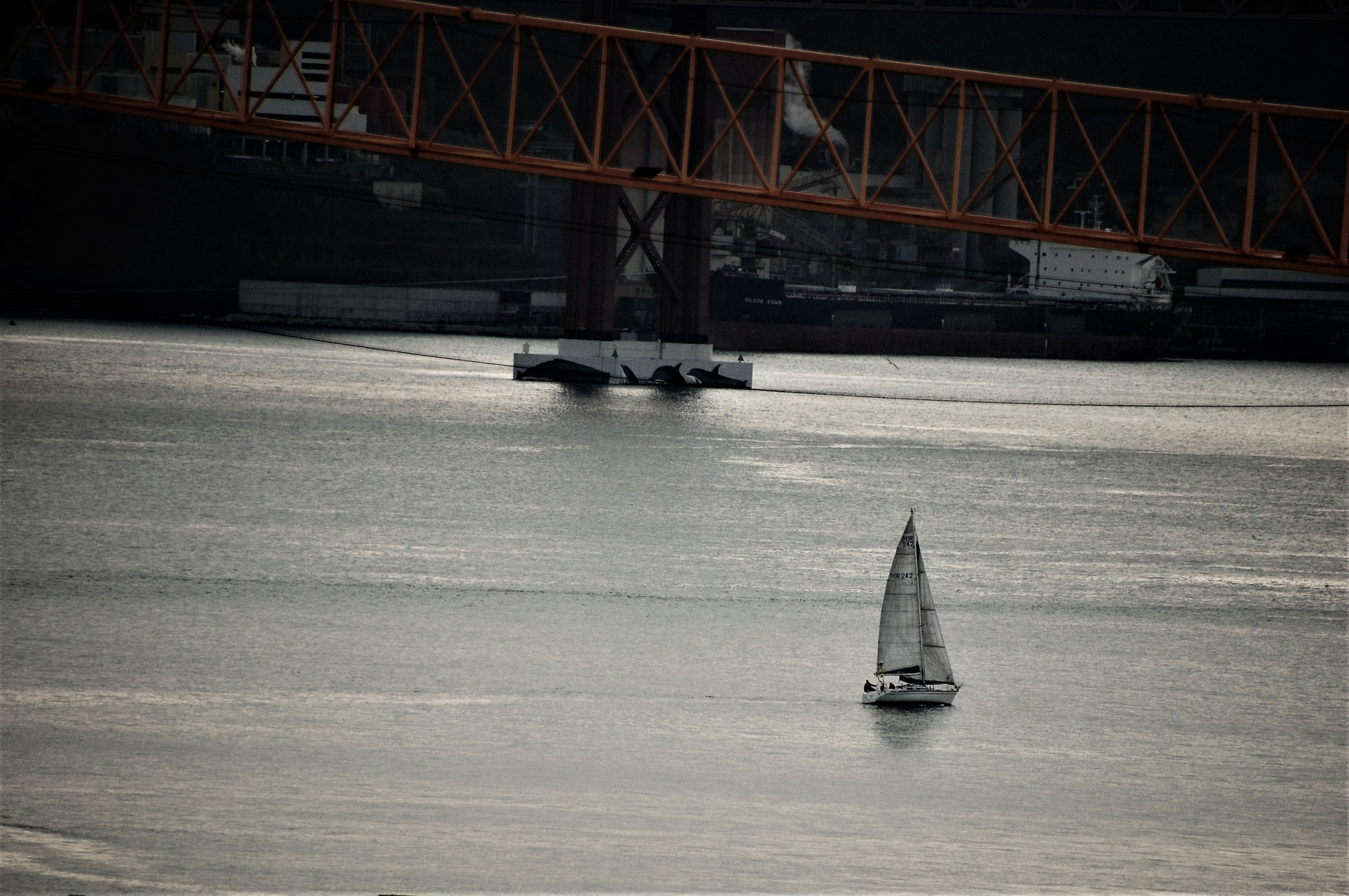 Nikon D90 sample photo. Sliding gently in the wind / glisser doucement dans le vent photography