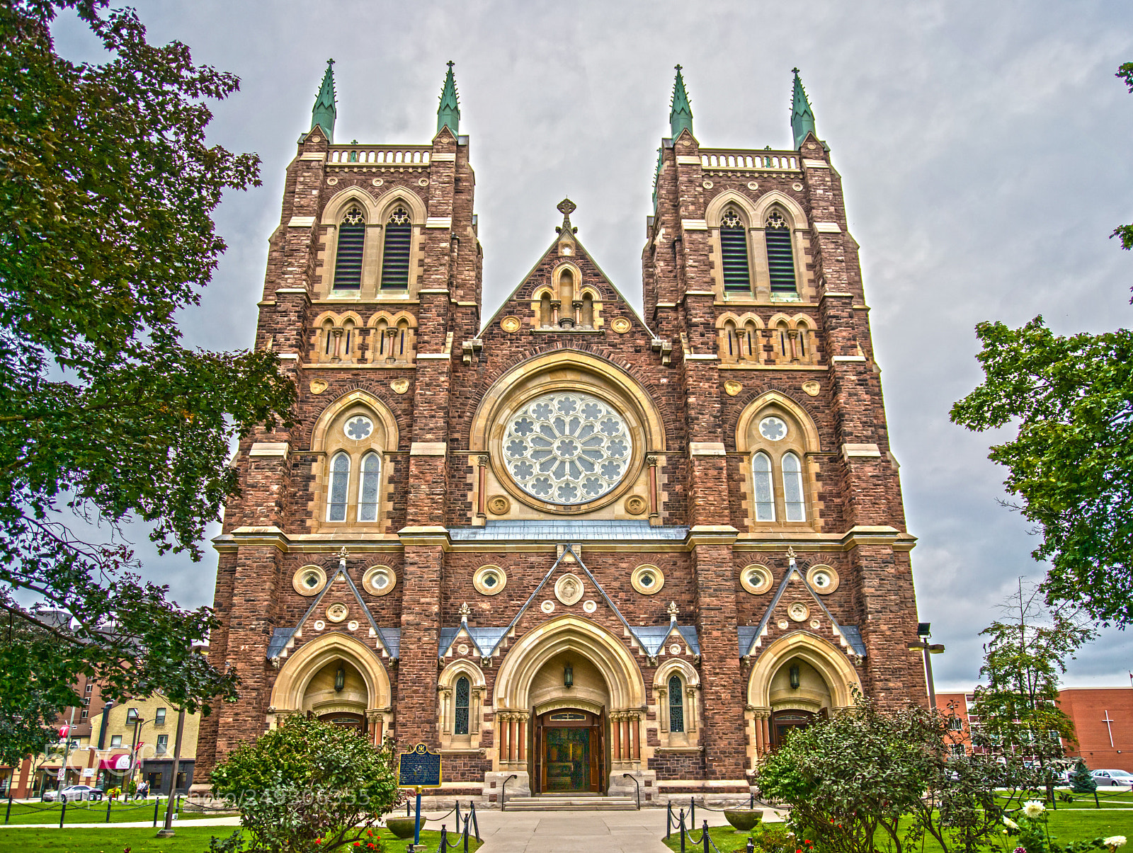 Nikon D610 sample photo. St. peter's cathedral basilica photography