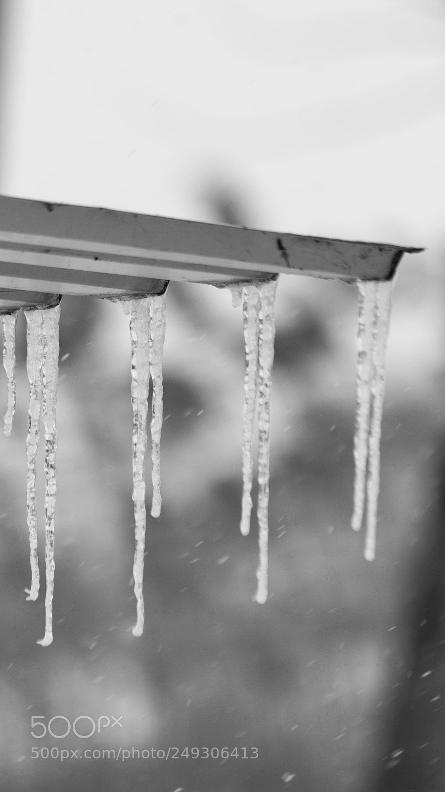 Canon EOS 700D (EOS Rebel T5i / EOS Kiss X7i) sample photo. Frosty nights photography