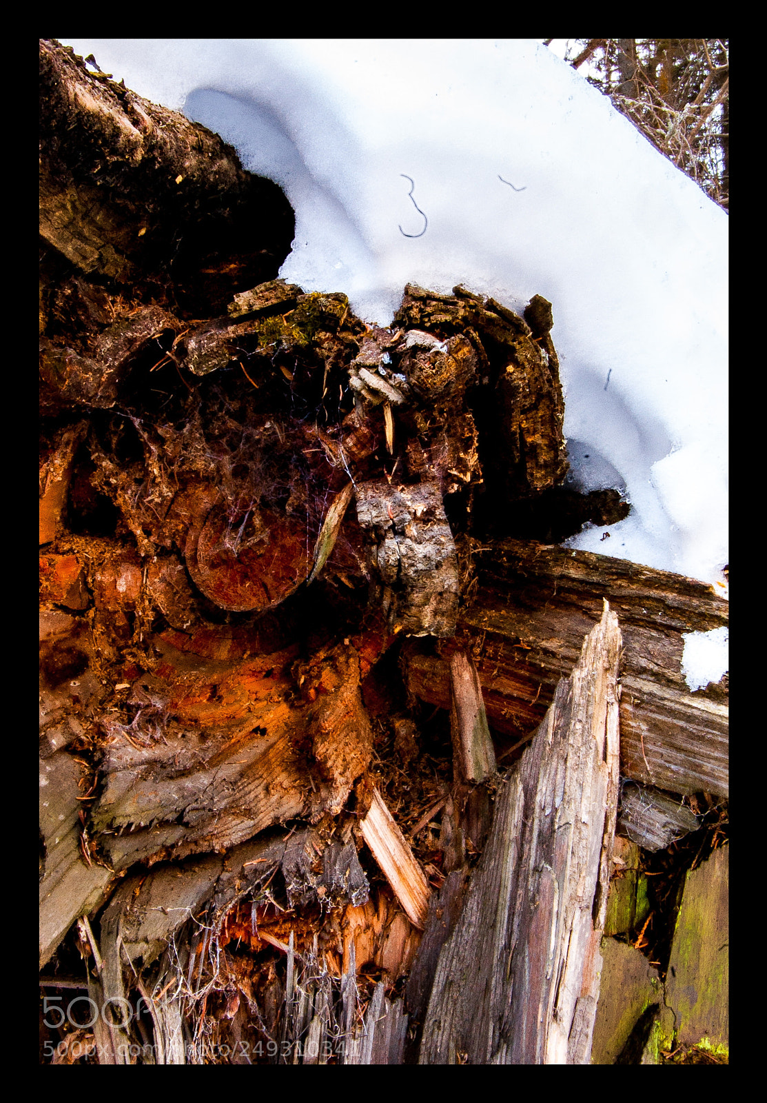 Nikon D40 sample photo. Shattered wood photography