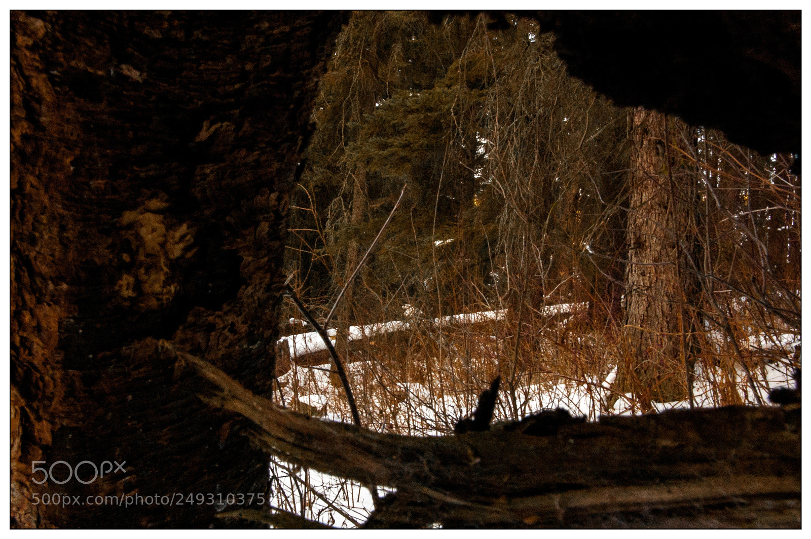 Nikon D40 sample photo. Wooden frames photography