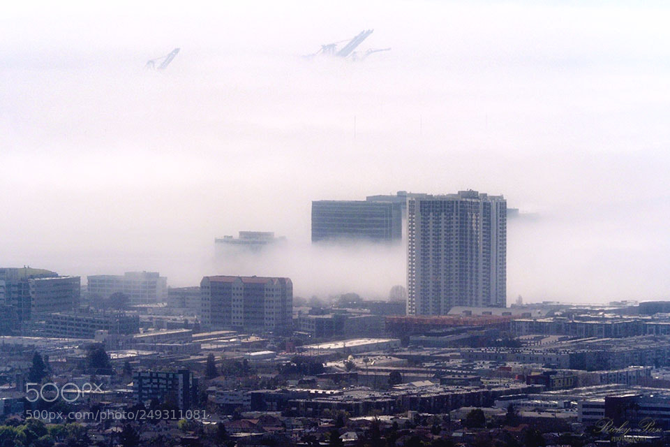 Olympus OM-D E-M1 Mark II sample photo. Berkeley 2049 photography