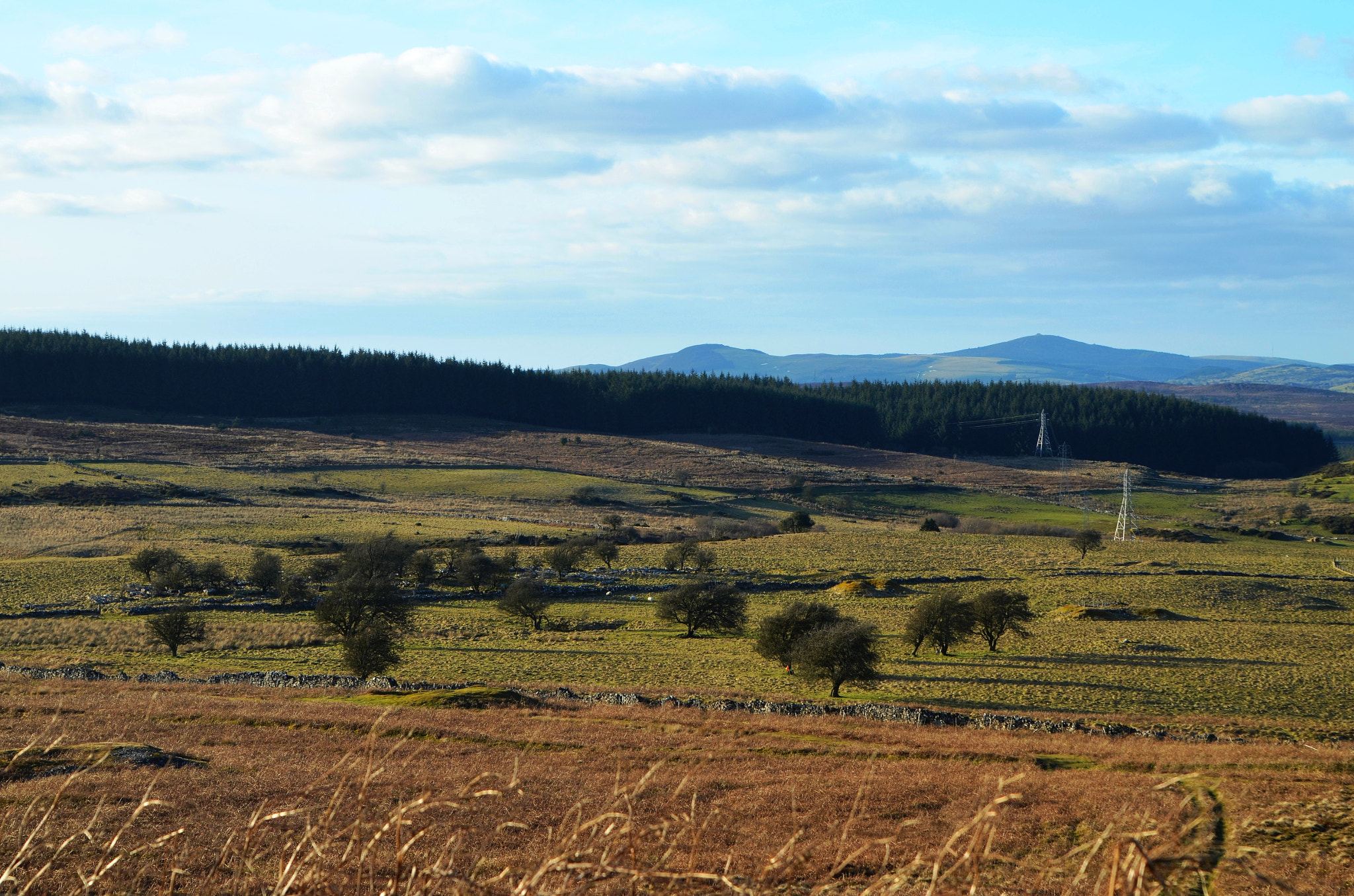 Nikon D5100 sample photo. Eclusham mountain ii photography