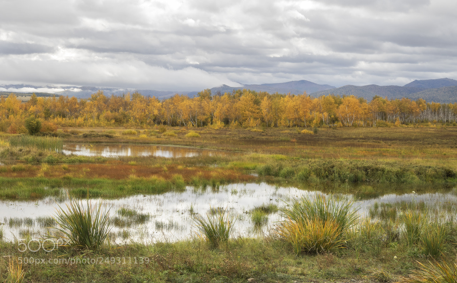 Olympus OM-D E-M1 sample photo. ... autumn khakassia ... photography