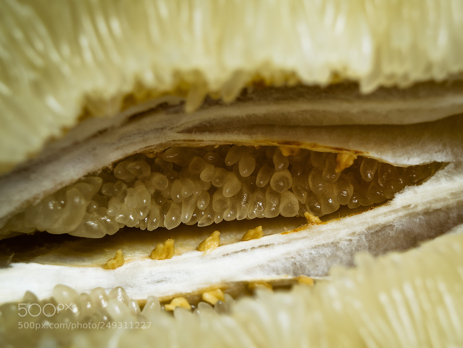 Nikon D3200 sample photo. Угадай что это? guess what it is? photography