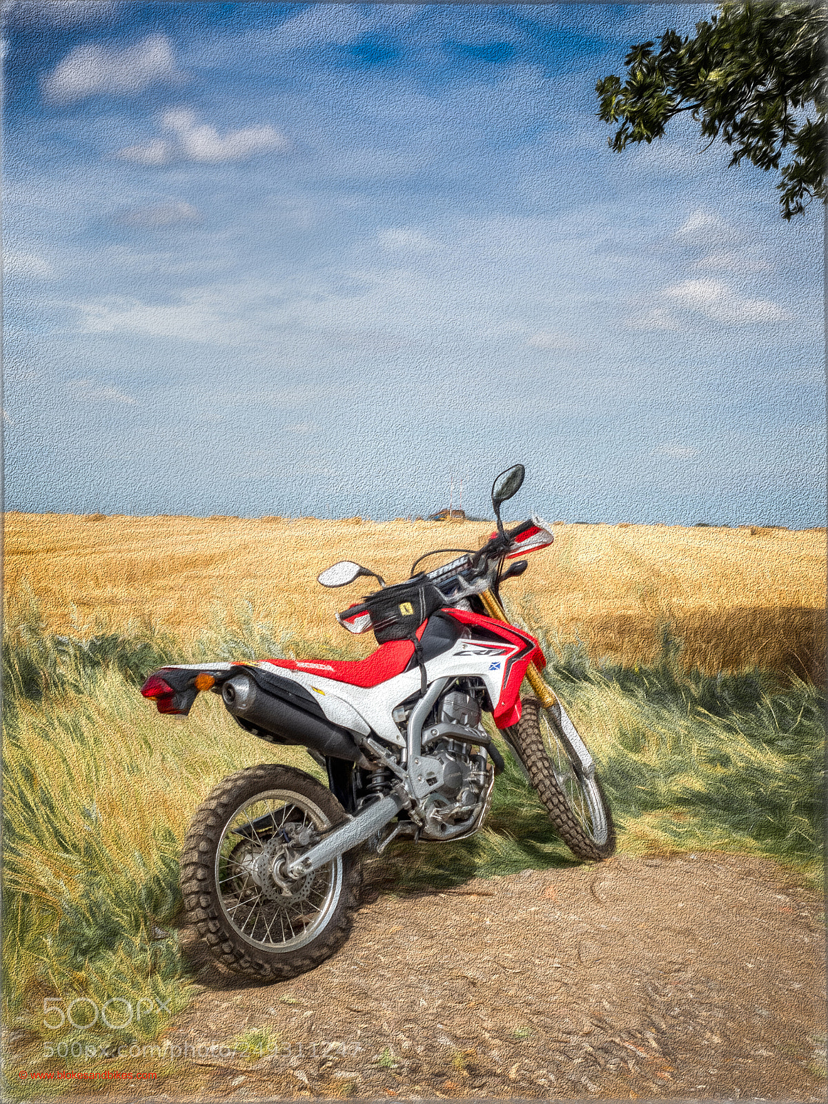 Olympus OM-D E-M1 Mark II sample photo. Off road photography