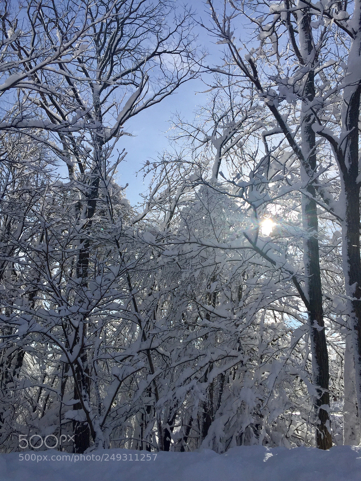 Apple iPhone 6 Plus sample photo. Here comes the sun? photography