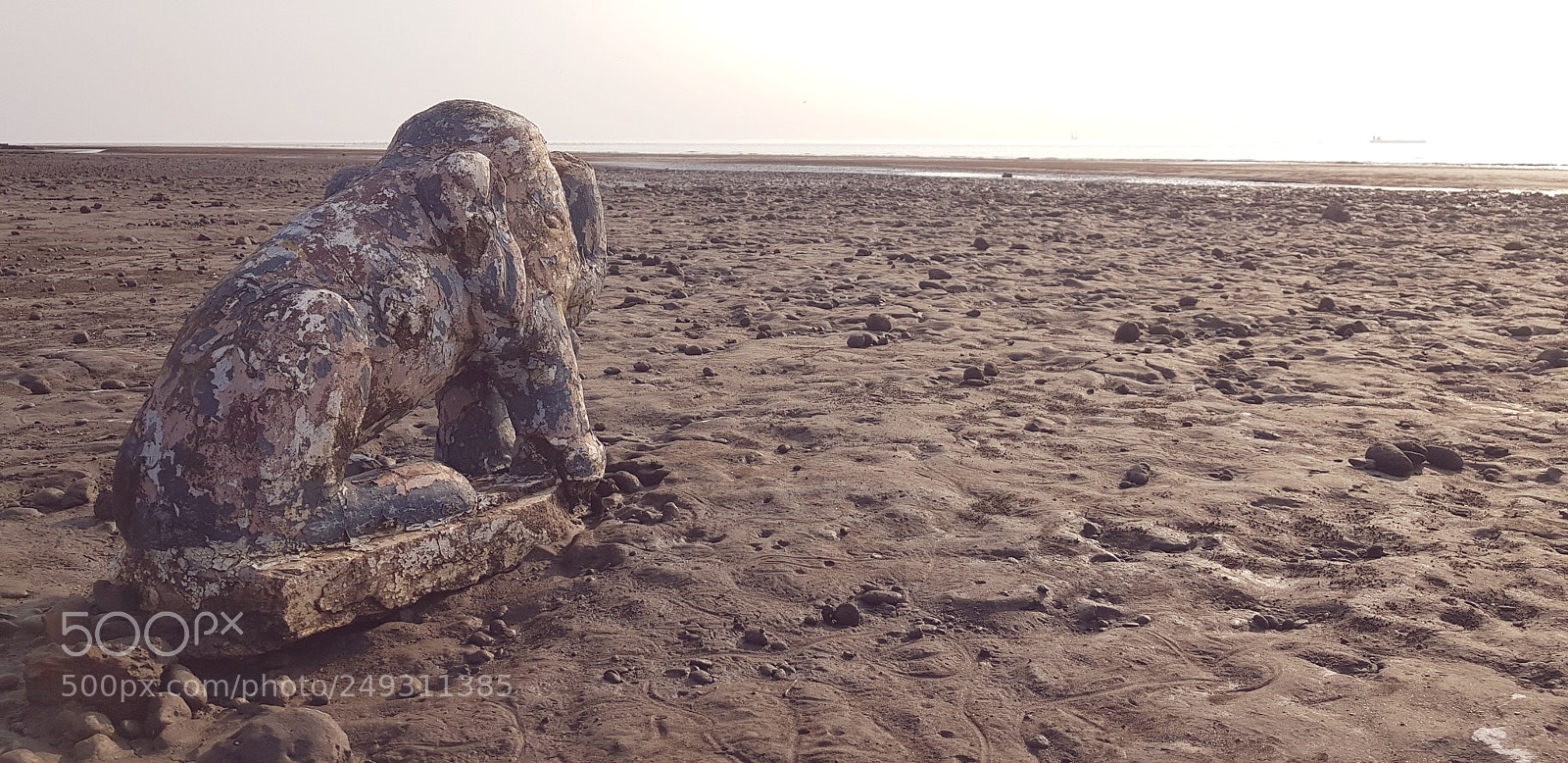 Samsung Galaxy S8+ sample photo. Untitled photography