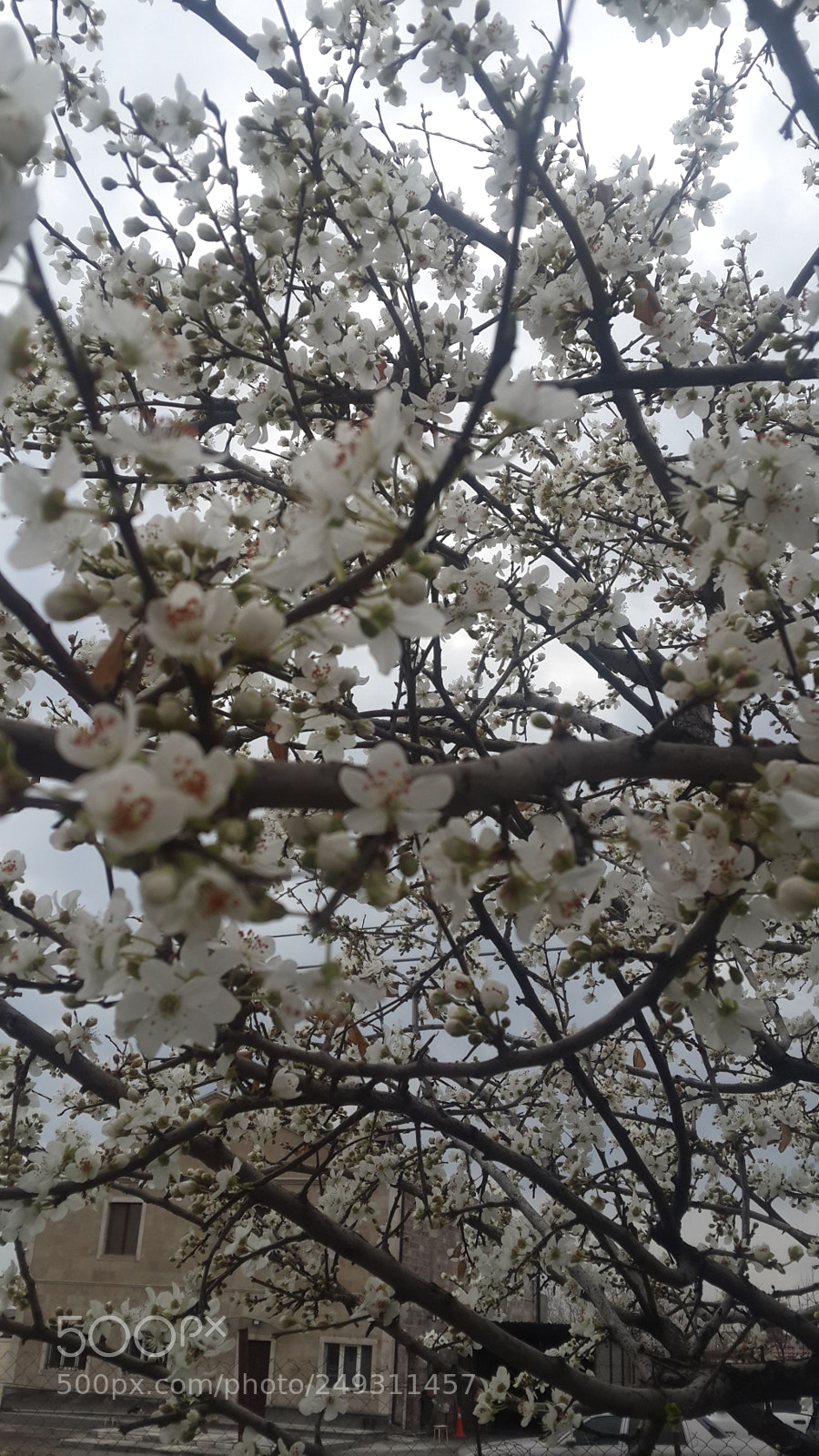 Samsung Galaxy S4 sample photo. Untitled photography