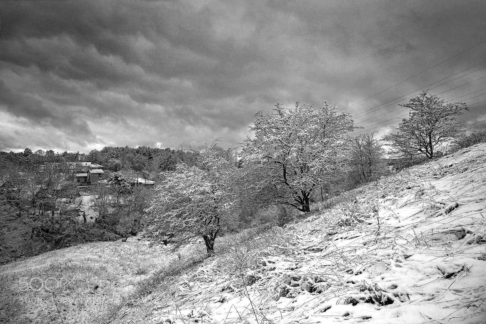 Nikon D800E sample photo. Winter weather photography