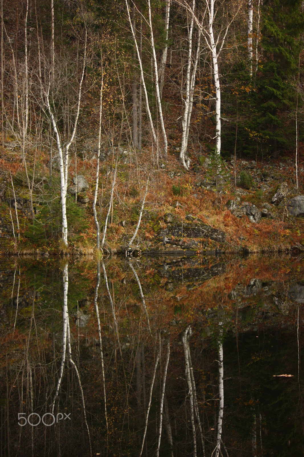 Canon EF-S 55-250mm F4-5.6 IS sample photo. In the water photography